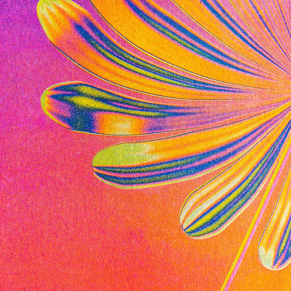 Affiche risographie 'A Flower at Sunset' - Image 2