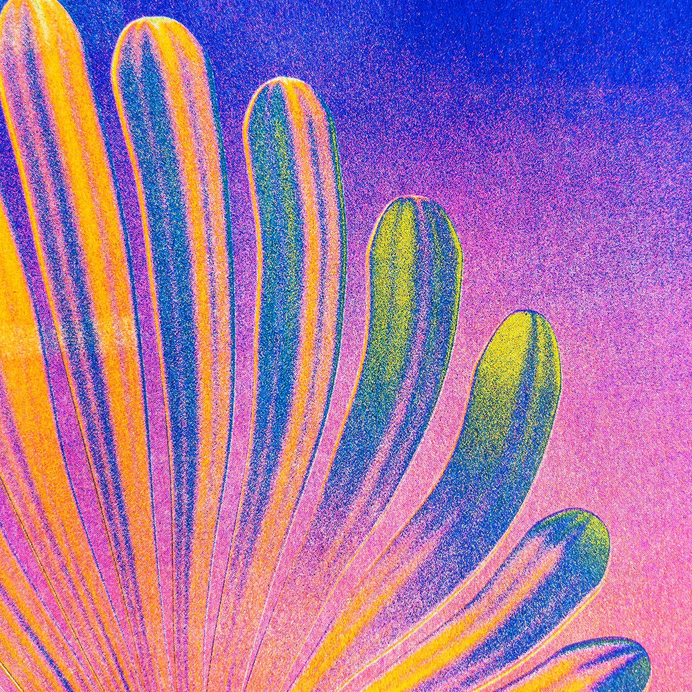 Affiche risographie 'A Flower at Sunset' - Image 3