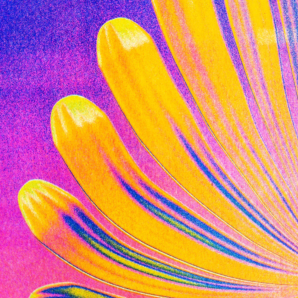 Affiche risographie 'A Flower at Sunset' - Image 4