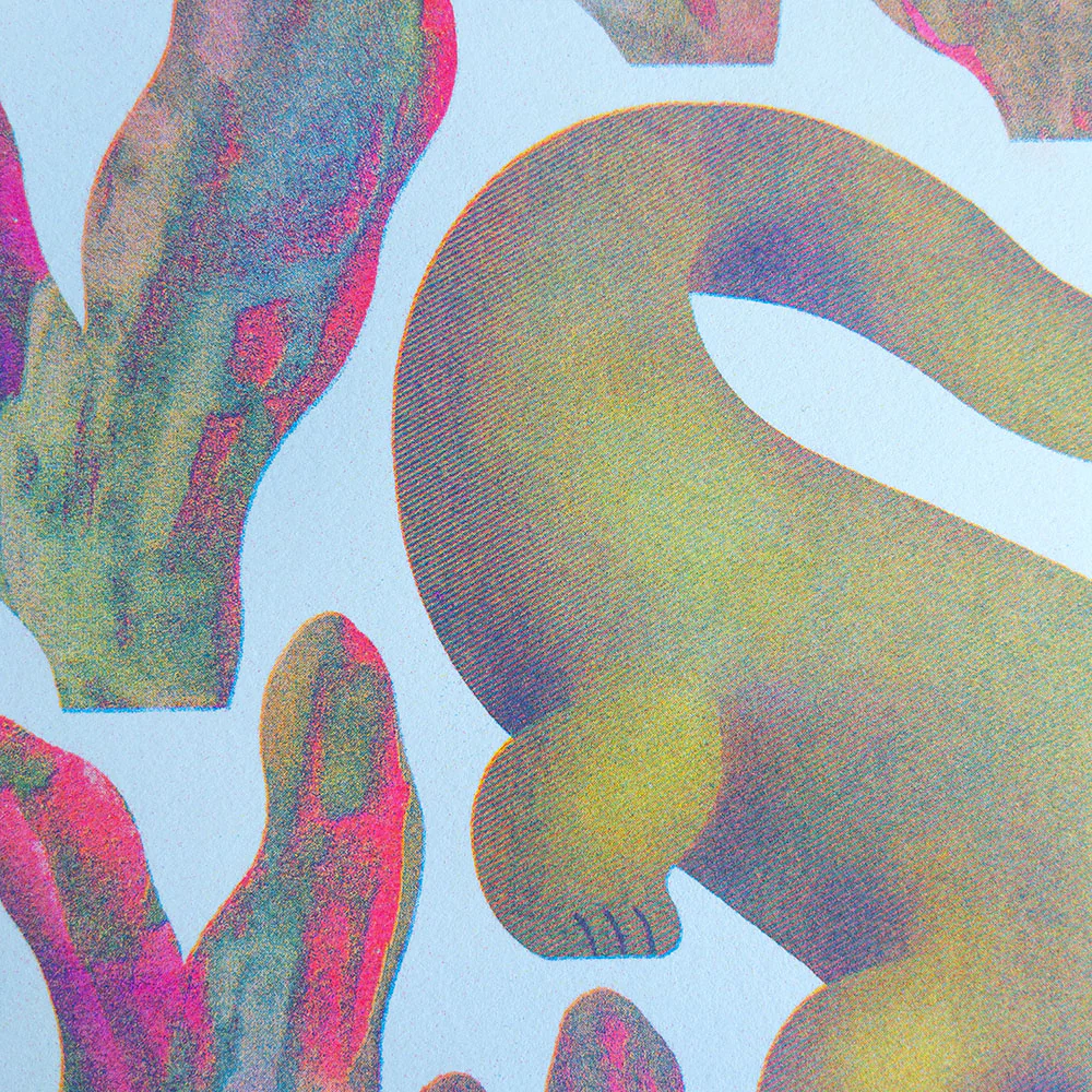 Affiche risographie 'Alligator' - Image 3