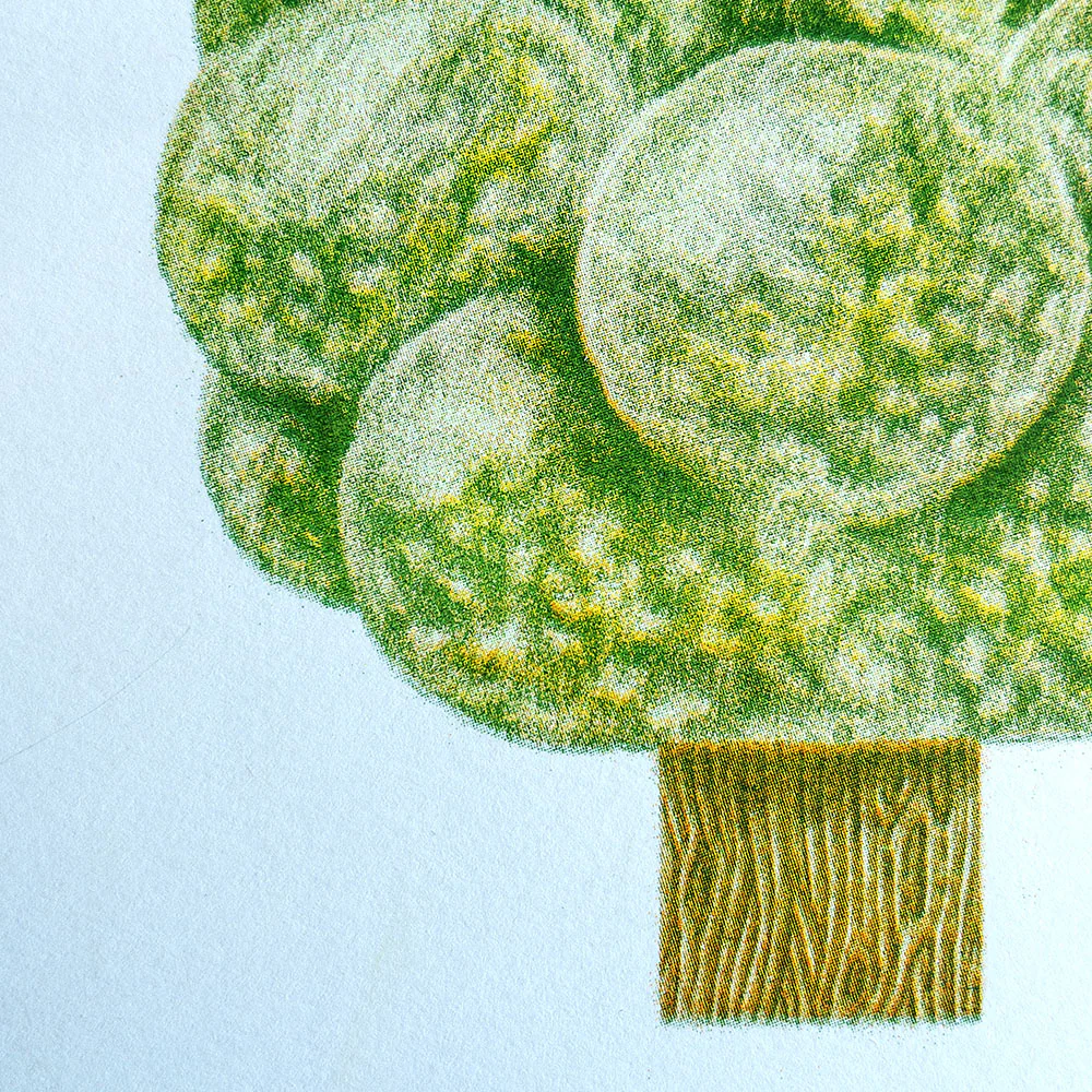 Affiche risographie 'Arbre sphère' - Image 7