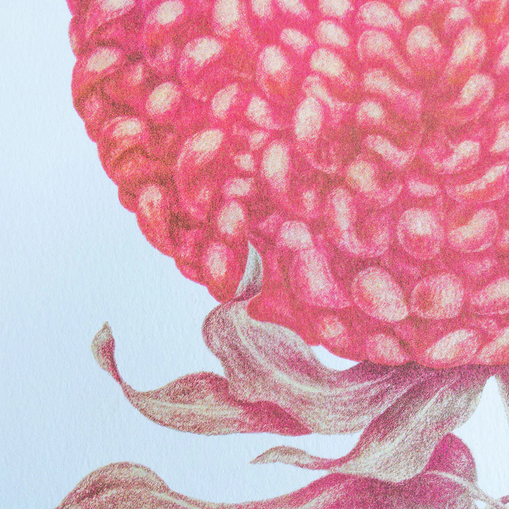 Affiche risographie 'Fleur ronde' - Image 2