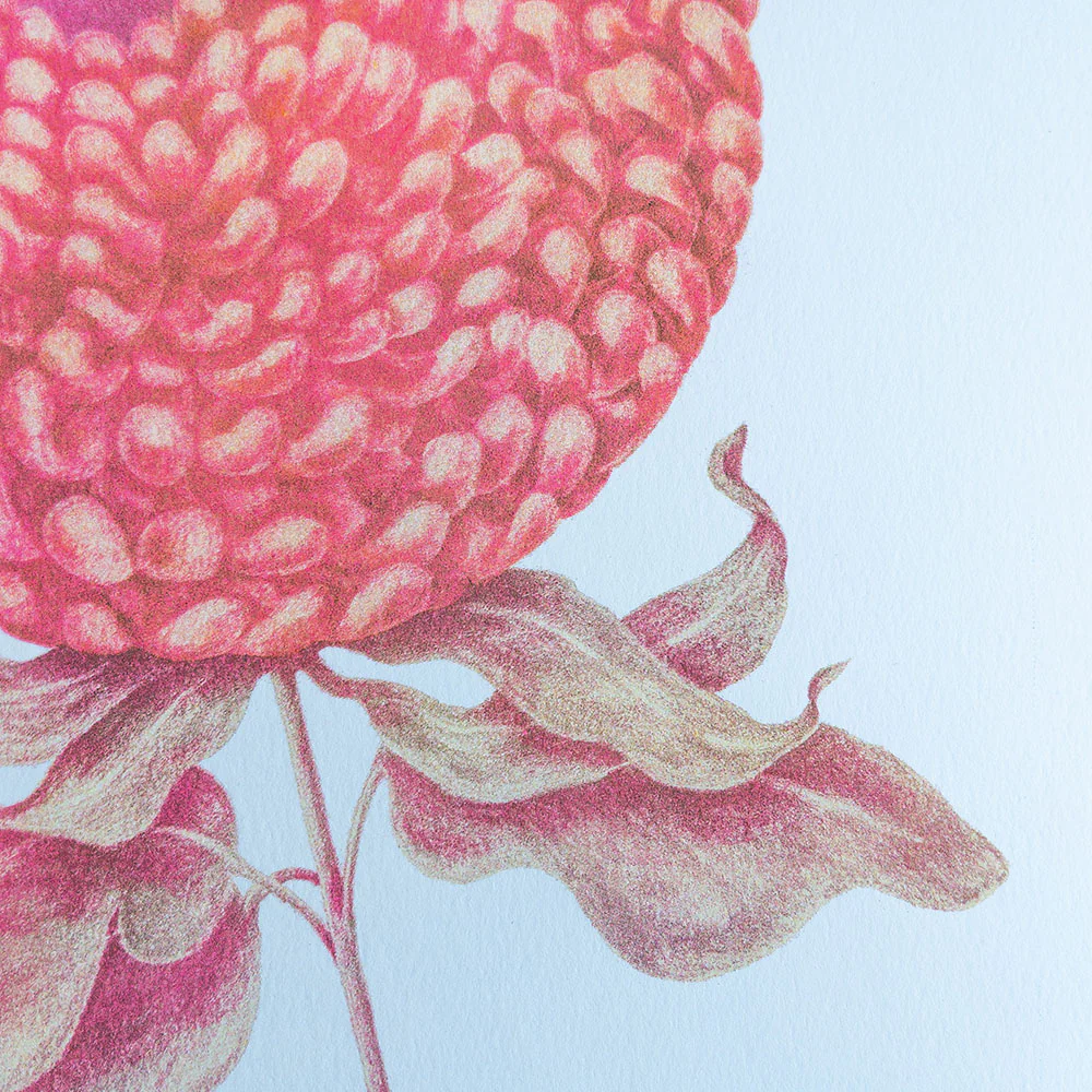 Affiche risographie 'Fleur ronde' - Image 3
