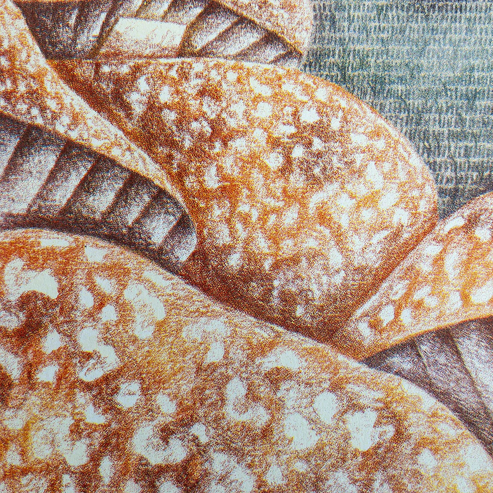 Affiche risographie 'Mushroom hunter' - Image 3