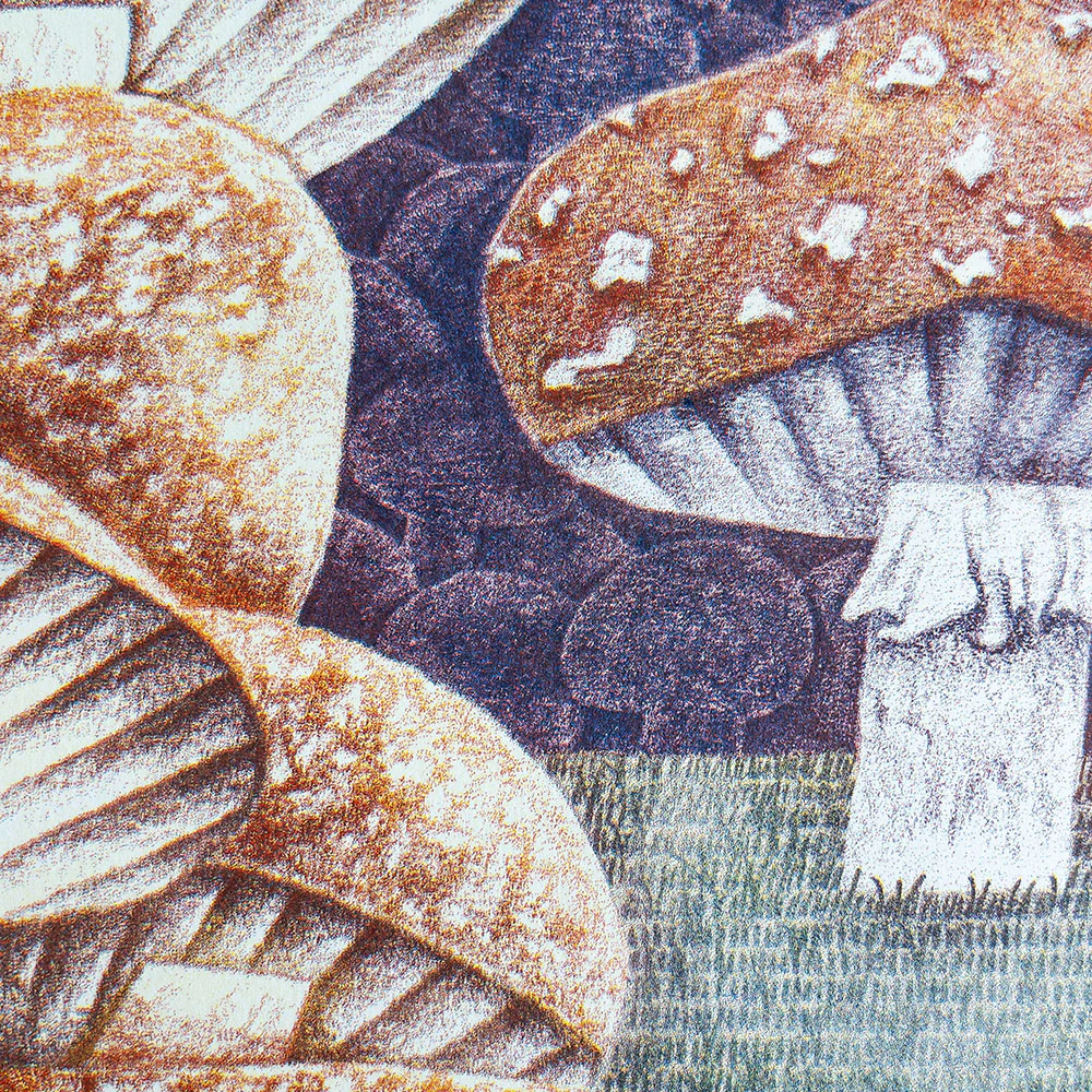 Affiche risographie 'Mushroom hunter' - Image 4