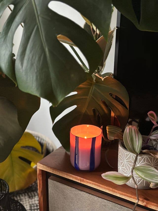 Bougie Atina - Cassis et Oudh - Image 2