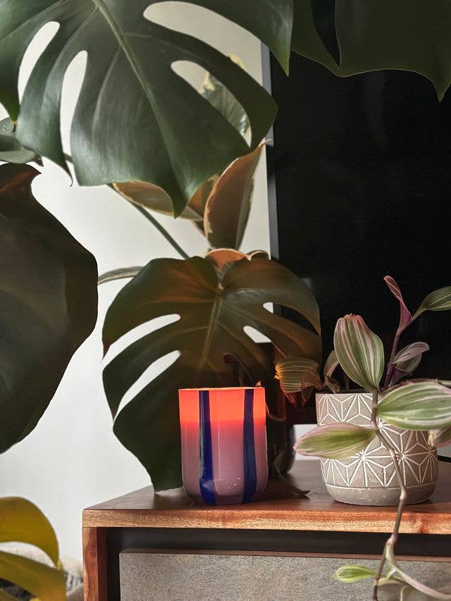 Bougie Atina - Cassis et Oudh - Image 3