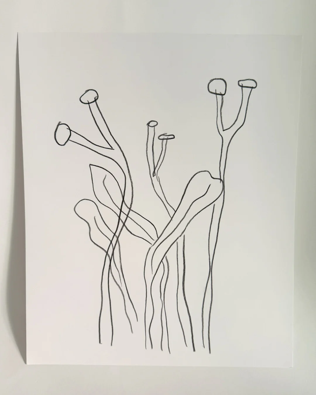 Dessin original 'Feuillage #3' - Image 2