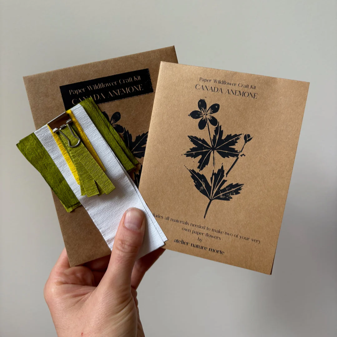 Ensemble DIY de fleurs en papier à assembler 'Anémone canadienne' - Image 2