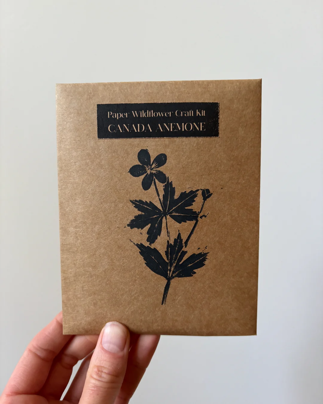 Ensemble DIY de fleurs en papier à assembler 'Anémone canadienne' - Image 3
