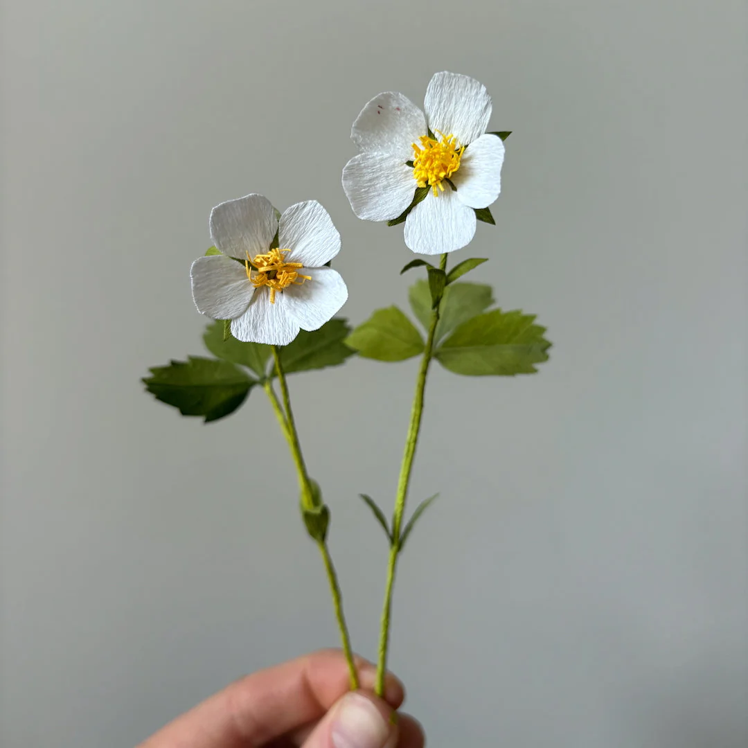 Ensemble DIY de fleurs en papier à assembler 'Fraisier sauvage'