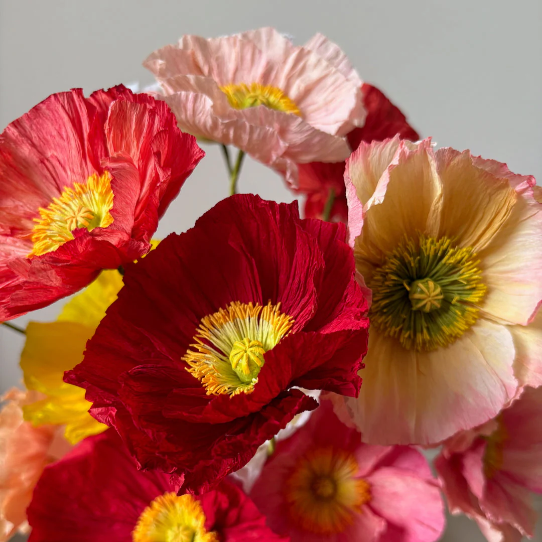 Fleur de papier Pavot [modèles variés] - Image 2