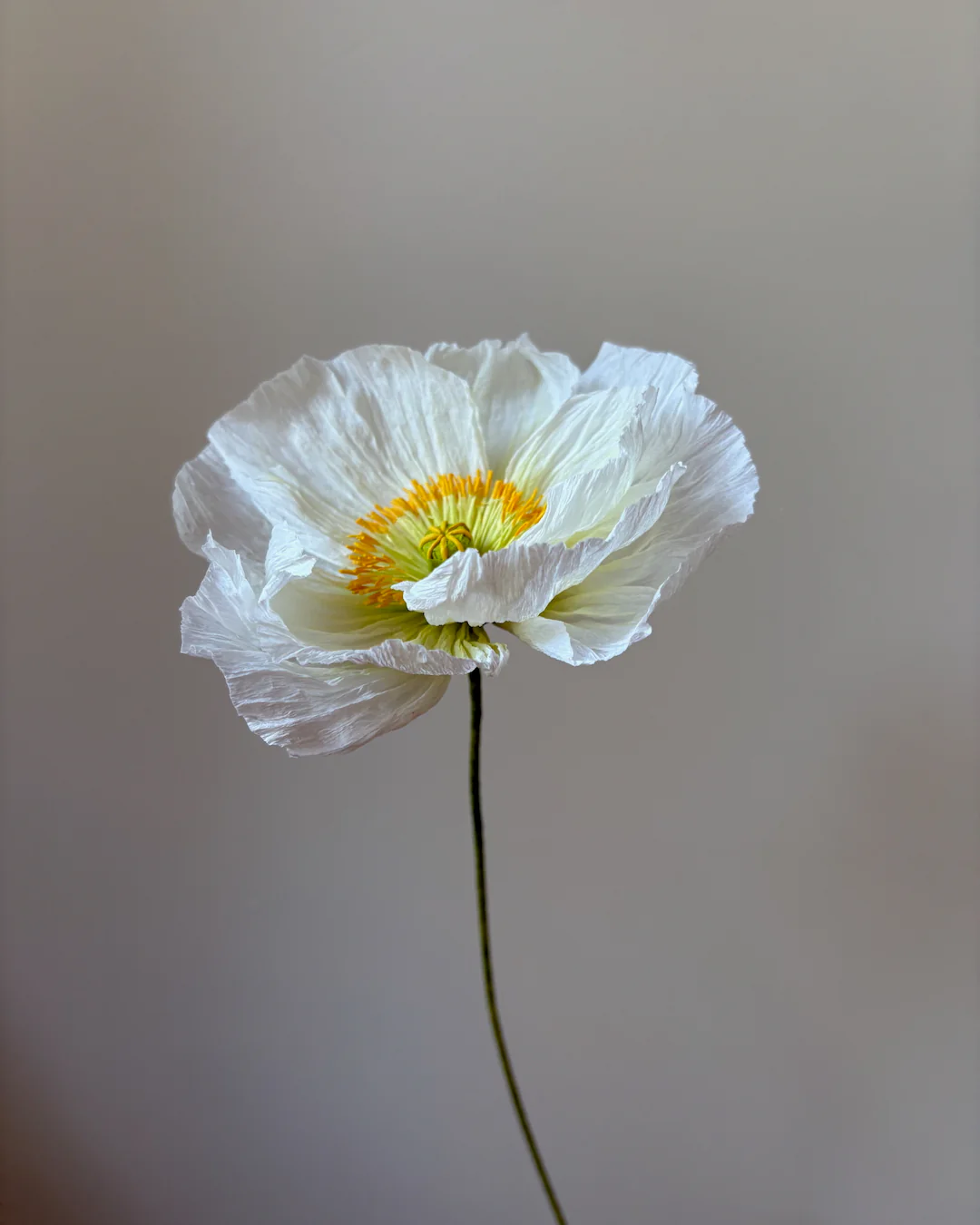 Fleur de papier Pavot [modèles variés] - Image 5
