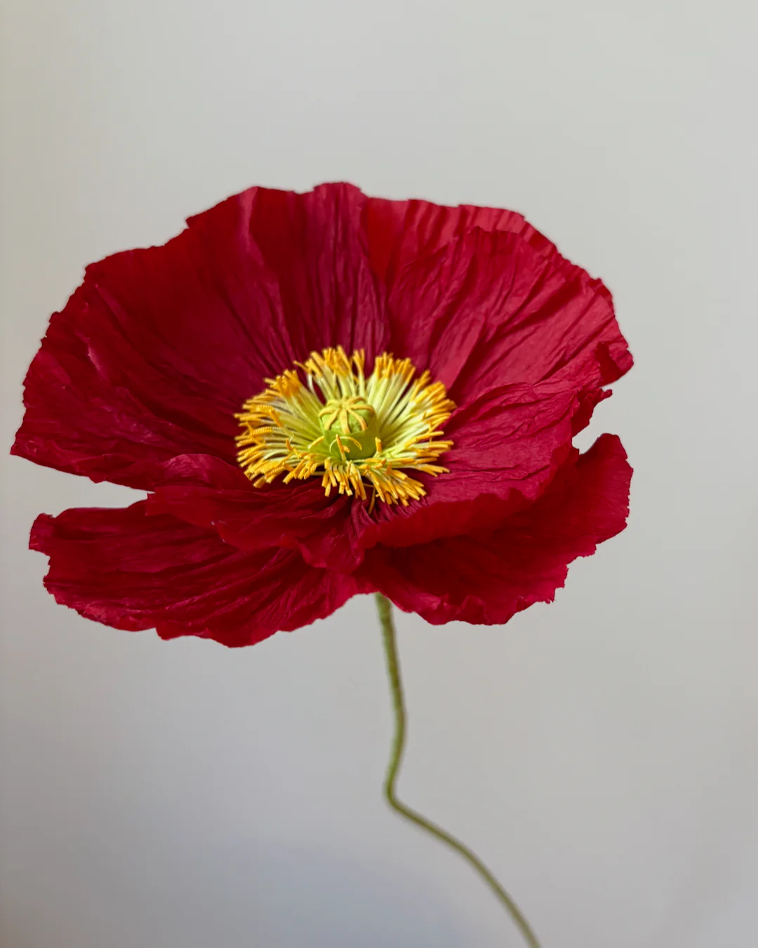 Fleur de papier Pavot [modèles variés] - Image 6