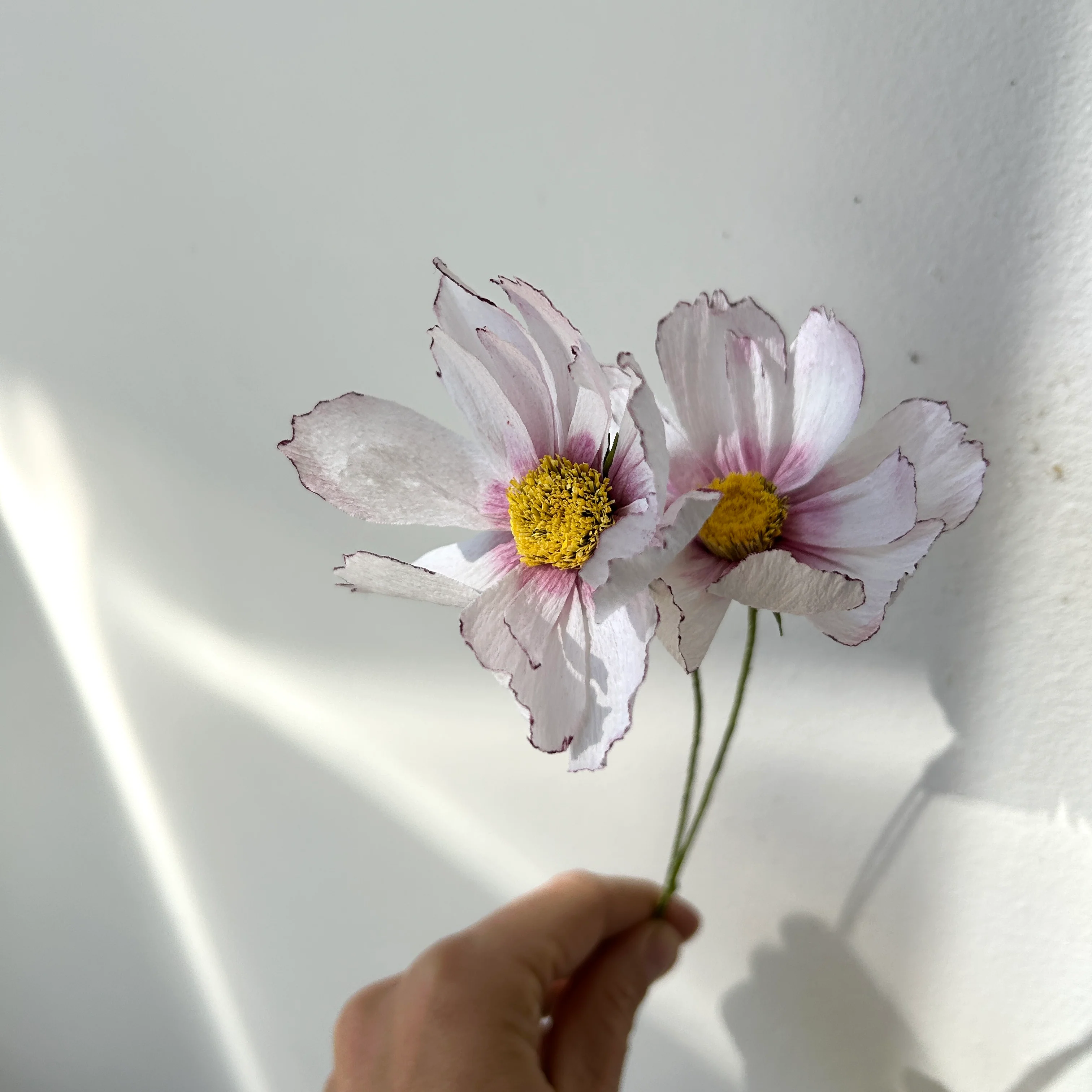 Fleur de papier Cosmos [couleurs variées] - Image 10