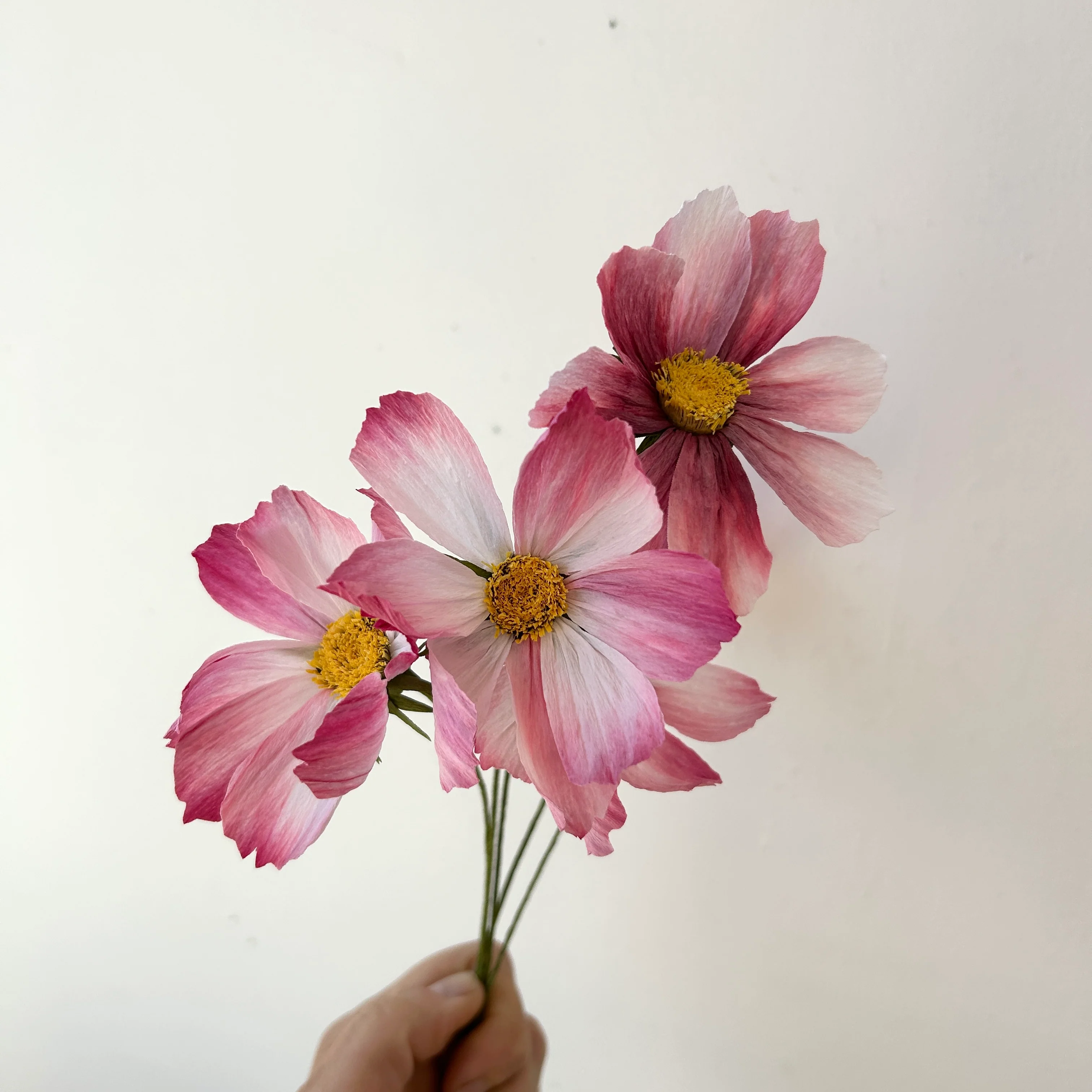 Fleur de papier Cosmos [couleurs variées] - Image 4