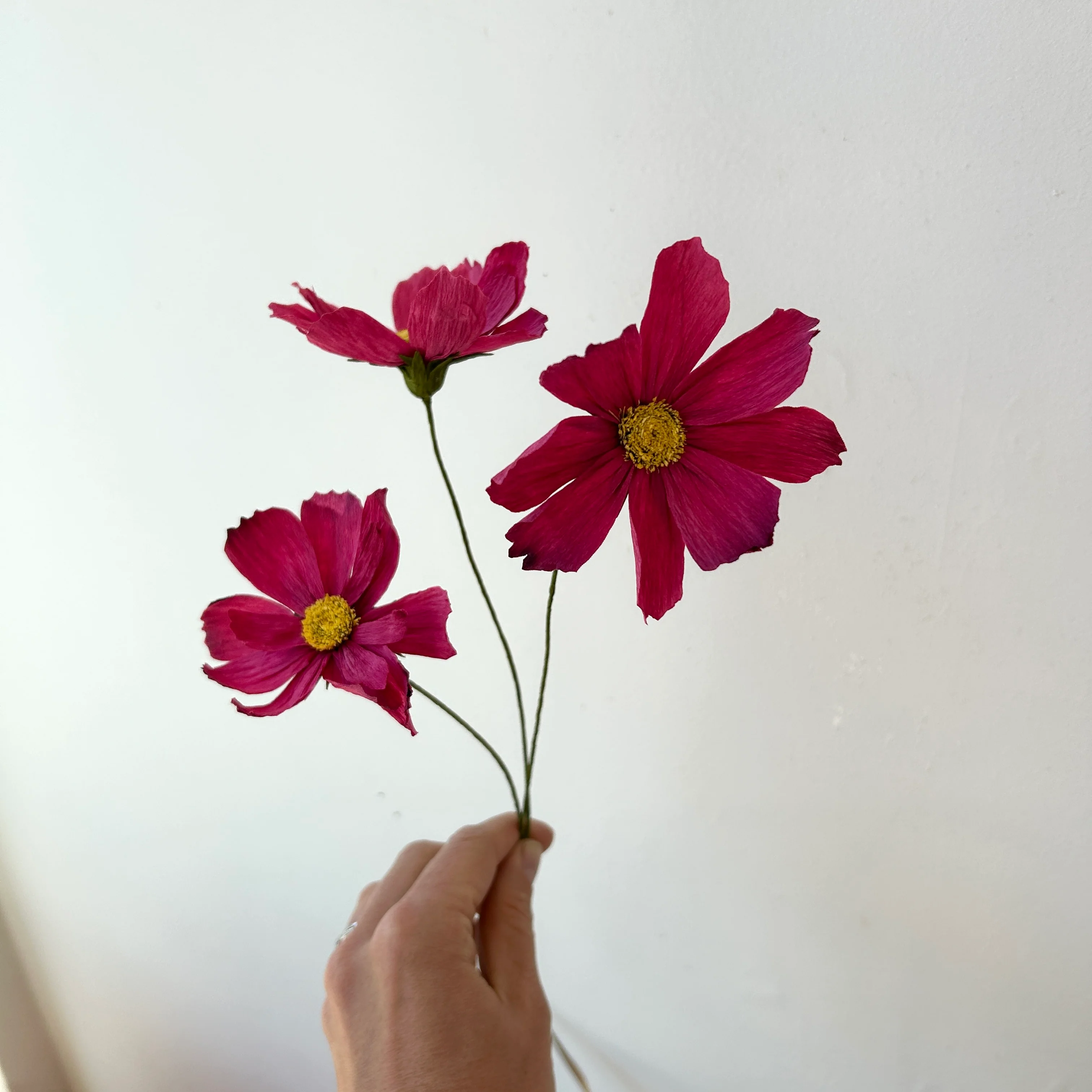 Fleur de papier Cosmos [couleurs variées] - Image 5