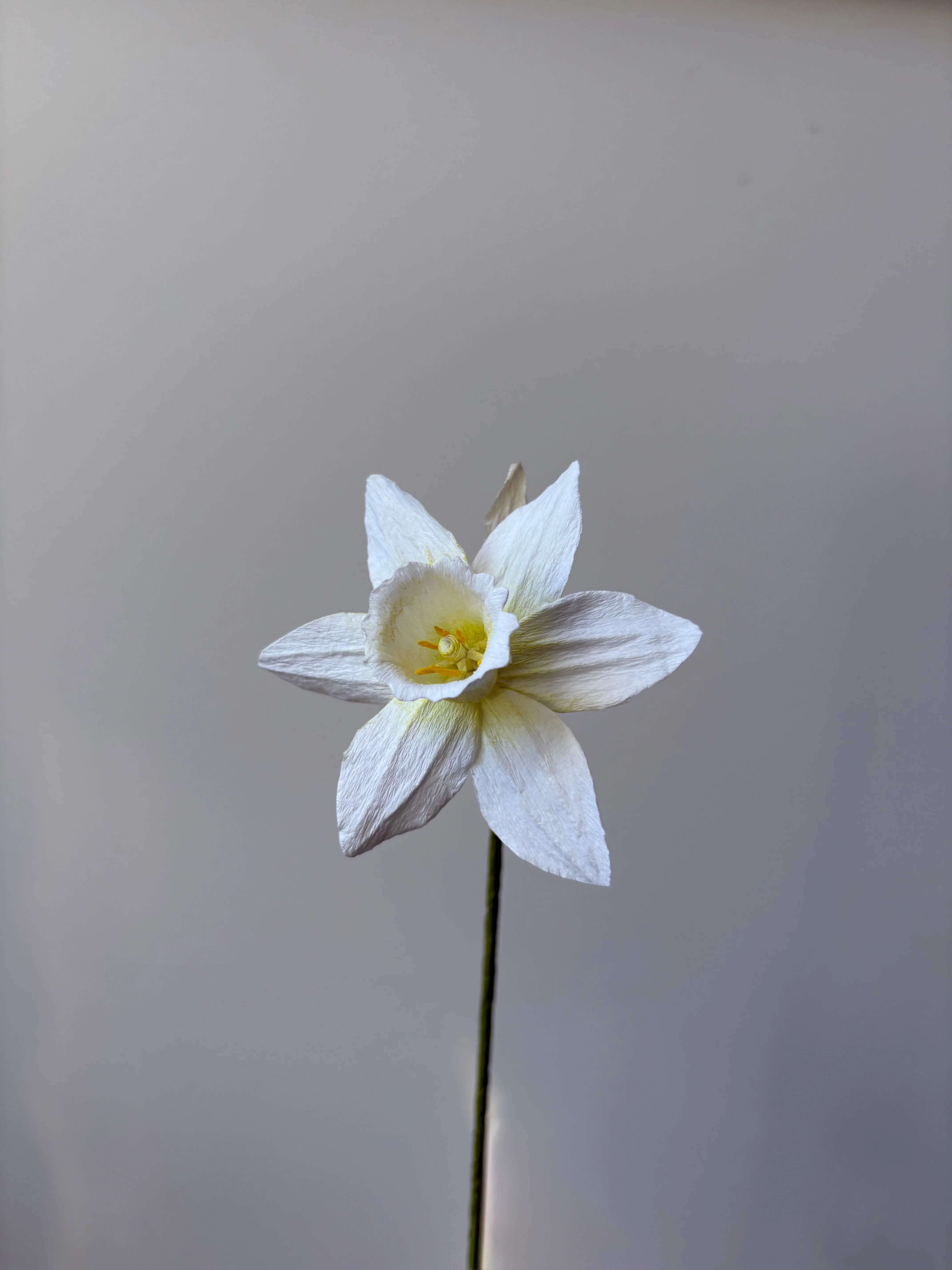 Fleur de papier Jonquille [modèles variés] - Image 3