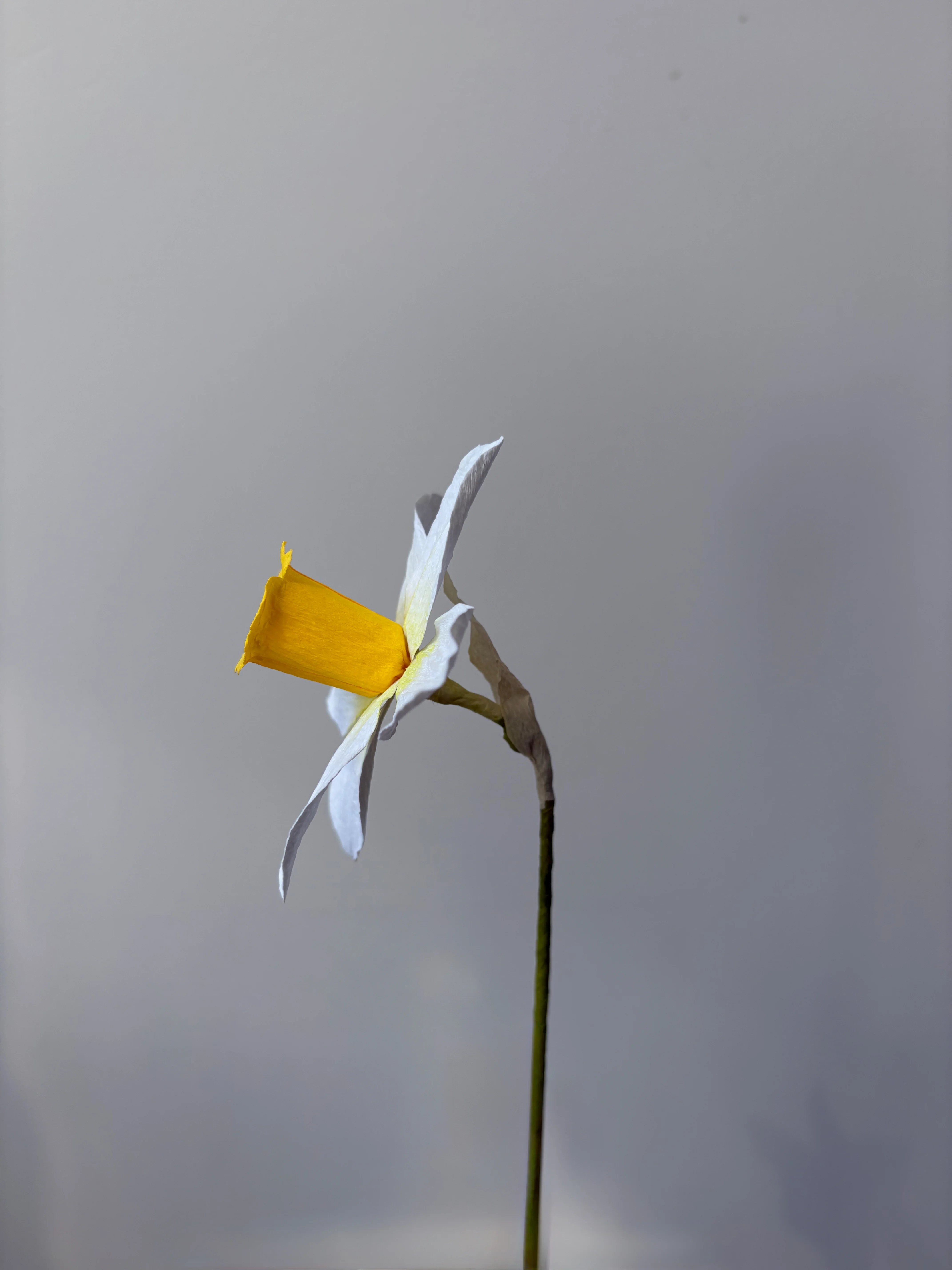 Fleur de papier Jonquille [modèles variés] - Image 8