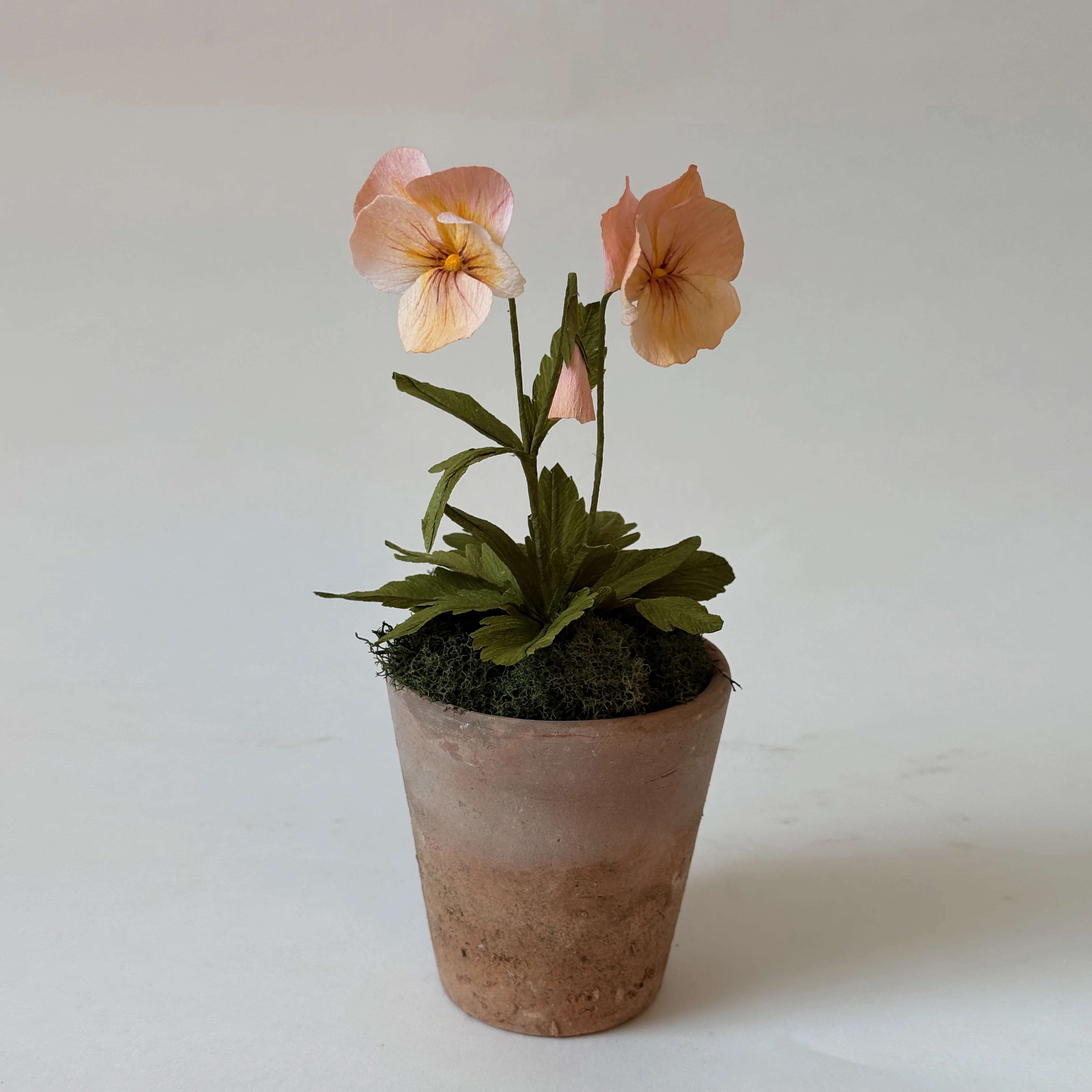 Fleur de papier Pensée en pot [modèles variés]