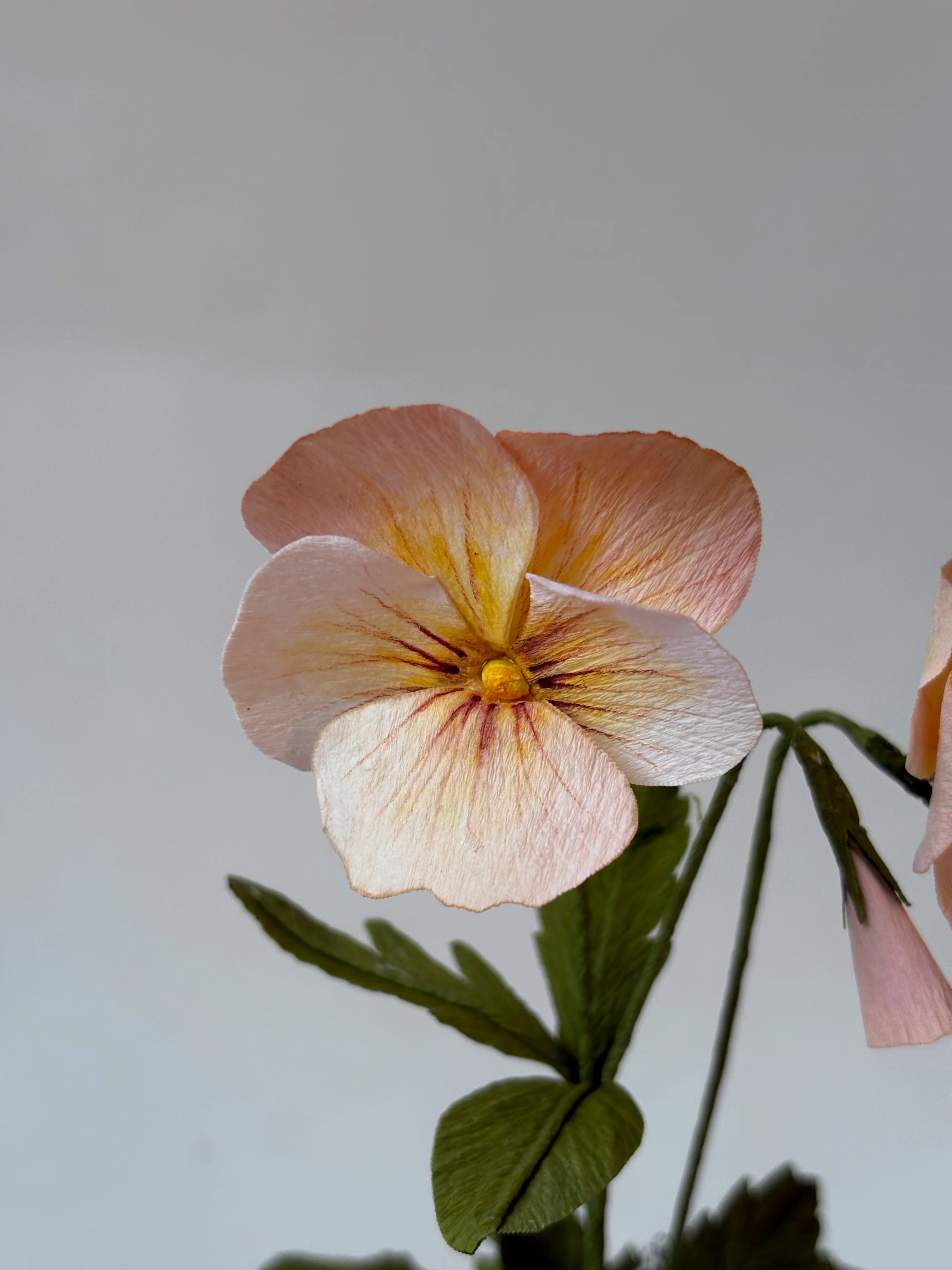 Fleur de papier Pensée en pot [modèles variés] - Image 4