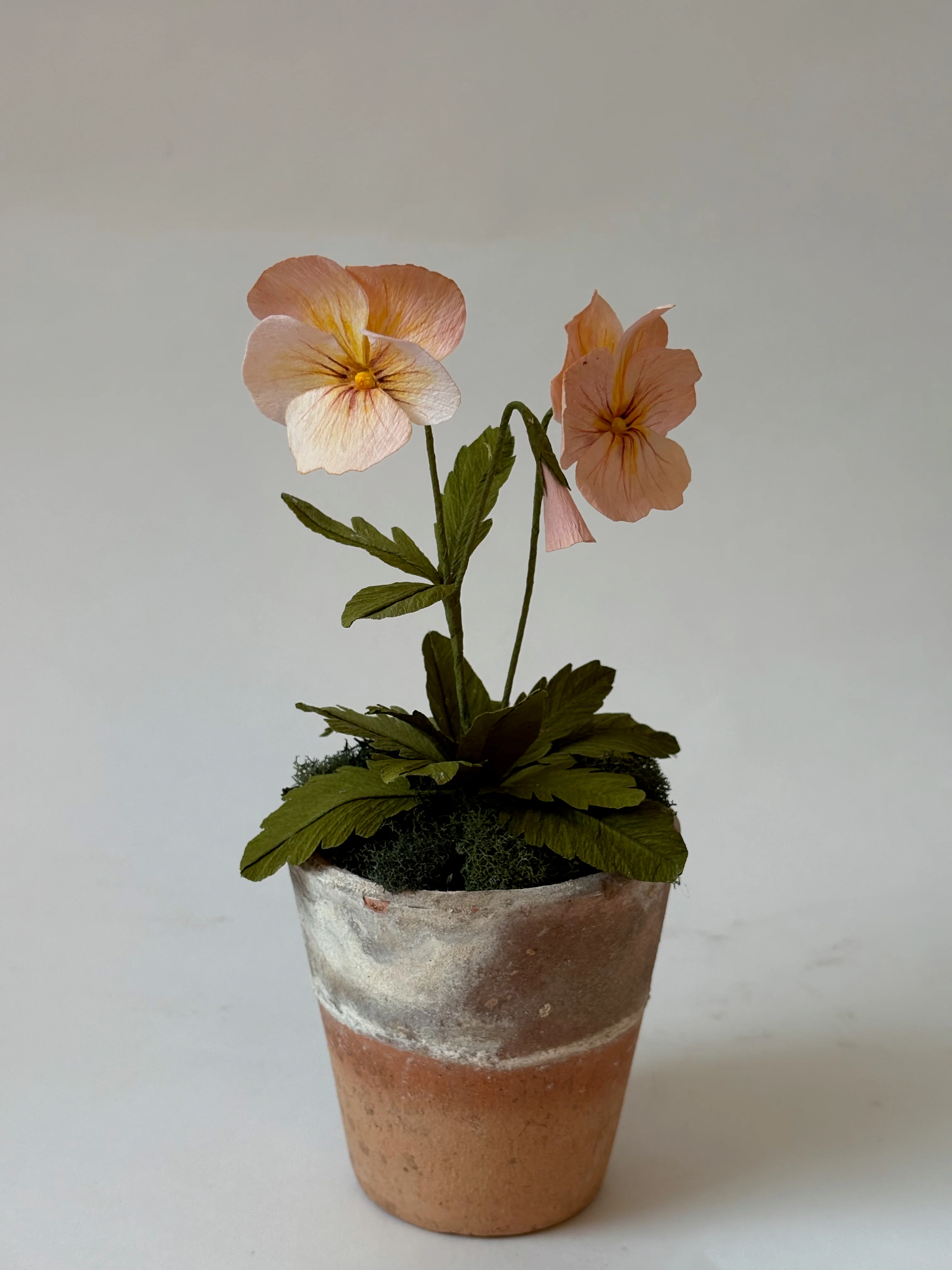 Fleur de papier Pensée en pot [modèles variés] - Image 5