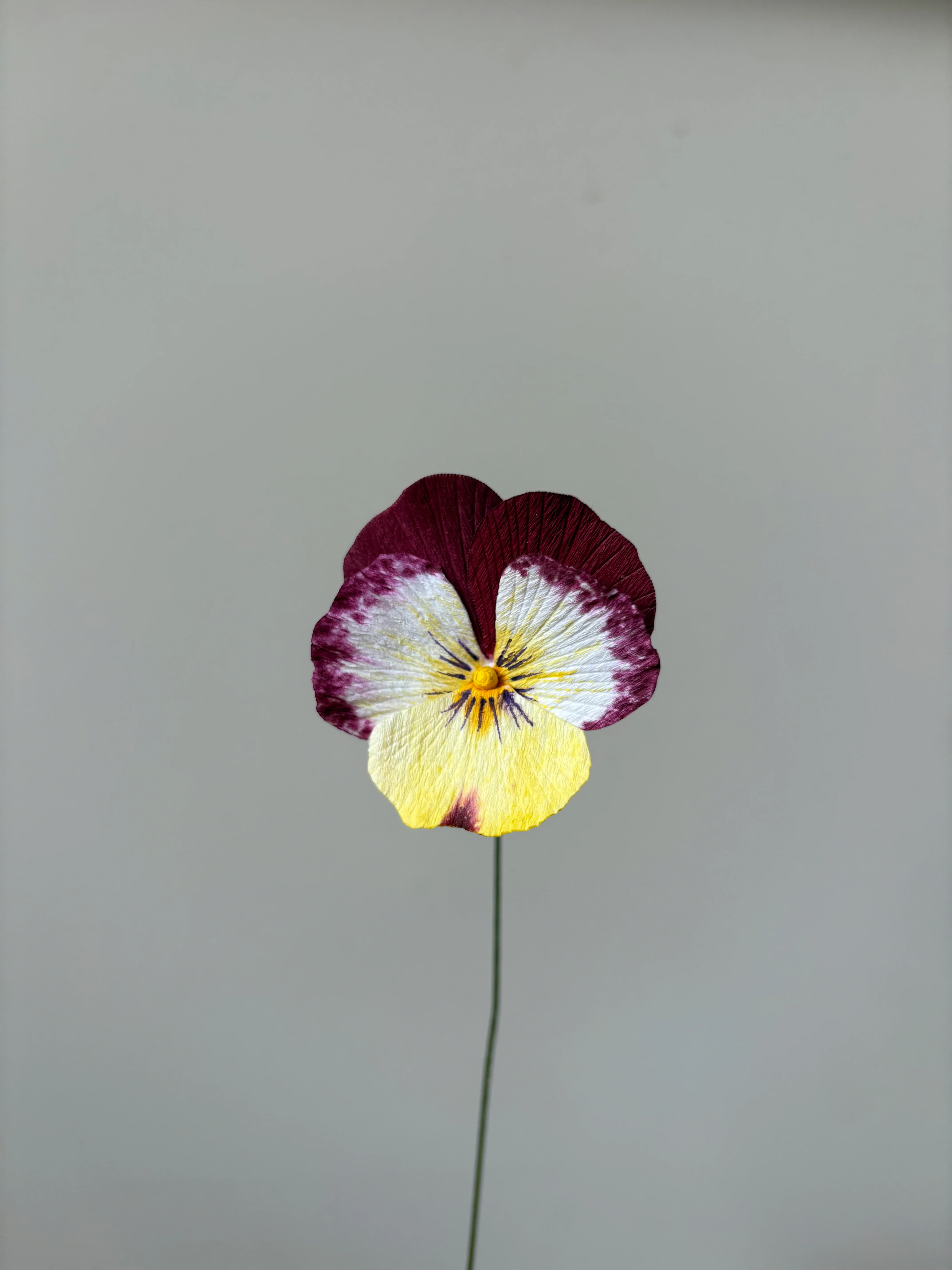 Fleur de papier Pensée en pot [modèles variés] - Image 6