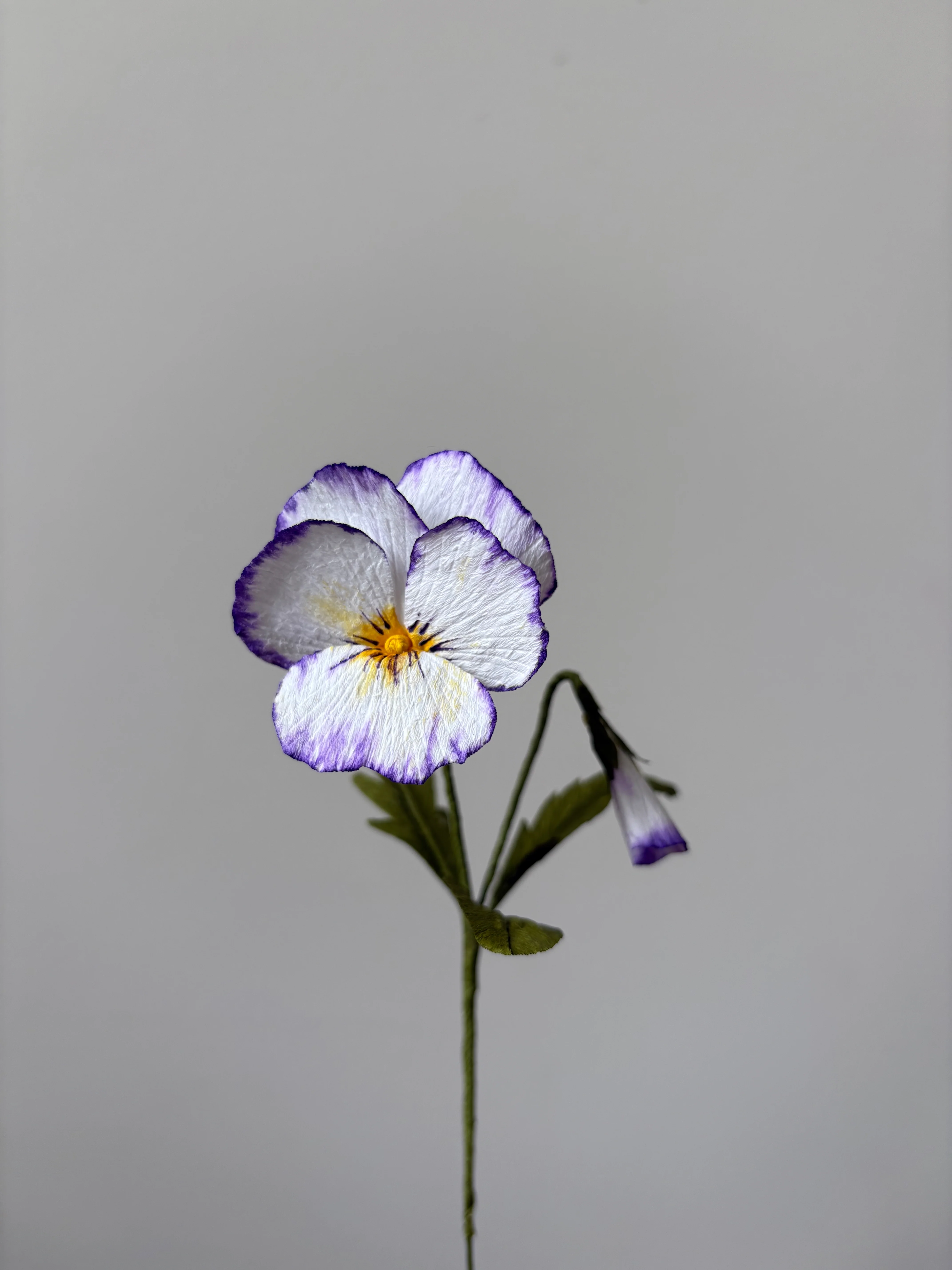 Fleur de papier Pensée en pot [modèles variés] - Image 8