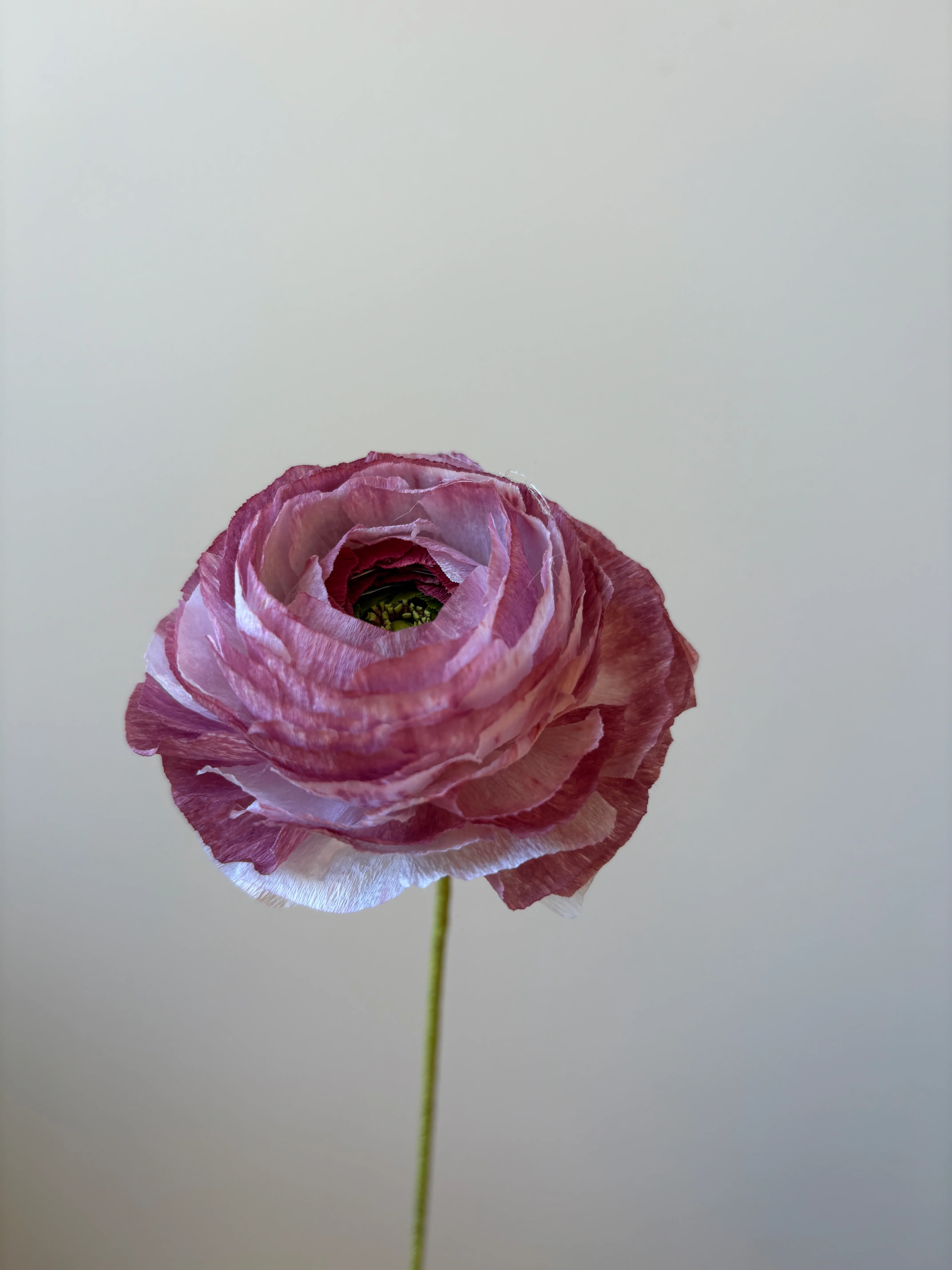 Fleur de papier Renoncule [modèles variés] - Image 10