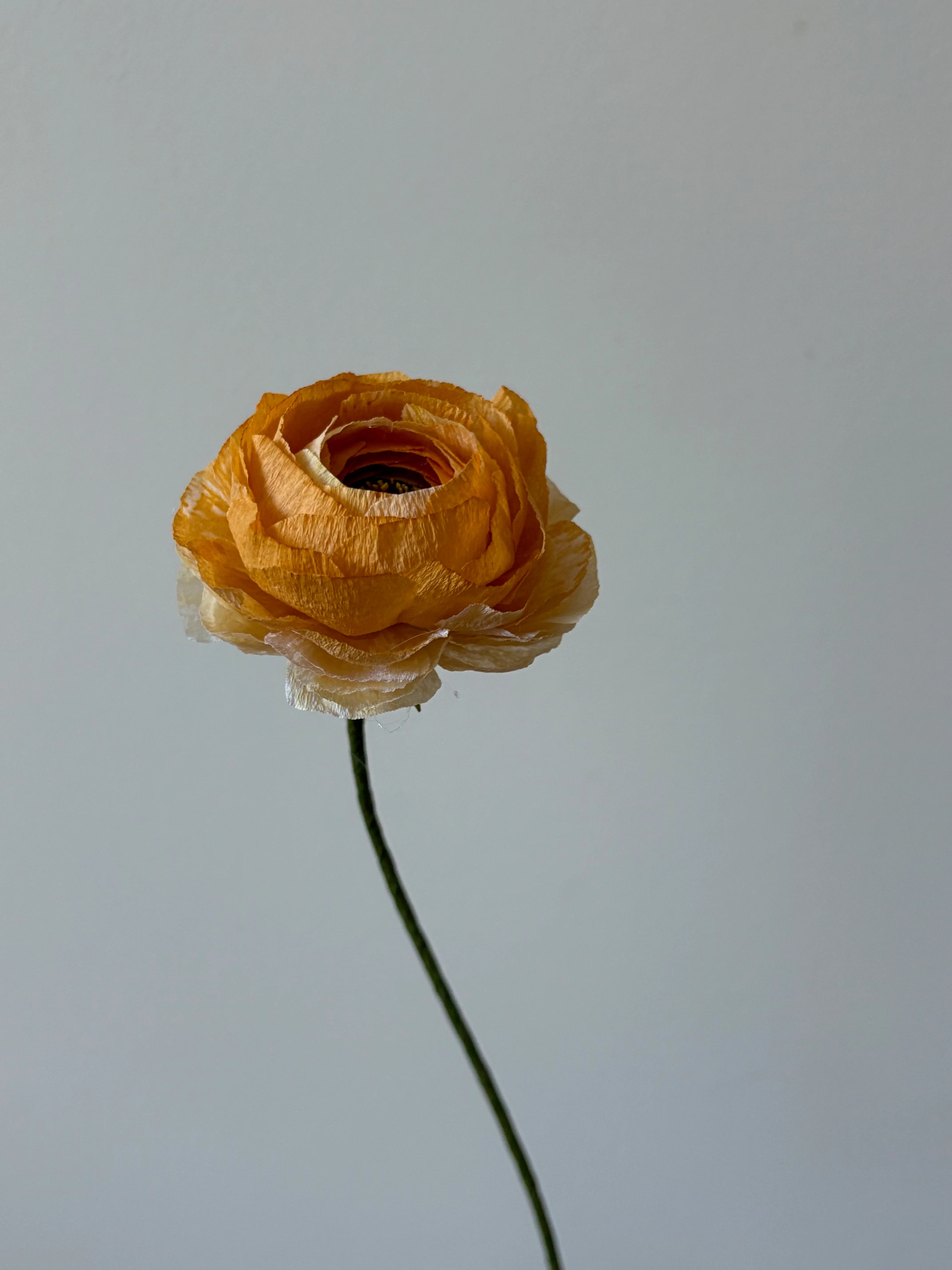 Fleur de papier Renoncule [modèles variés] - Image 4