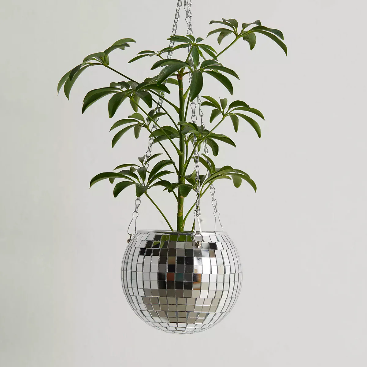Jardinière boule disco [formats variés]