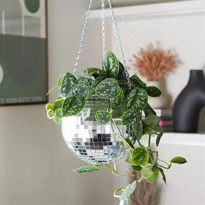Jardinière boule disco [formats variés] - Image 2