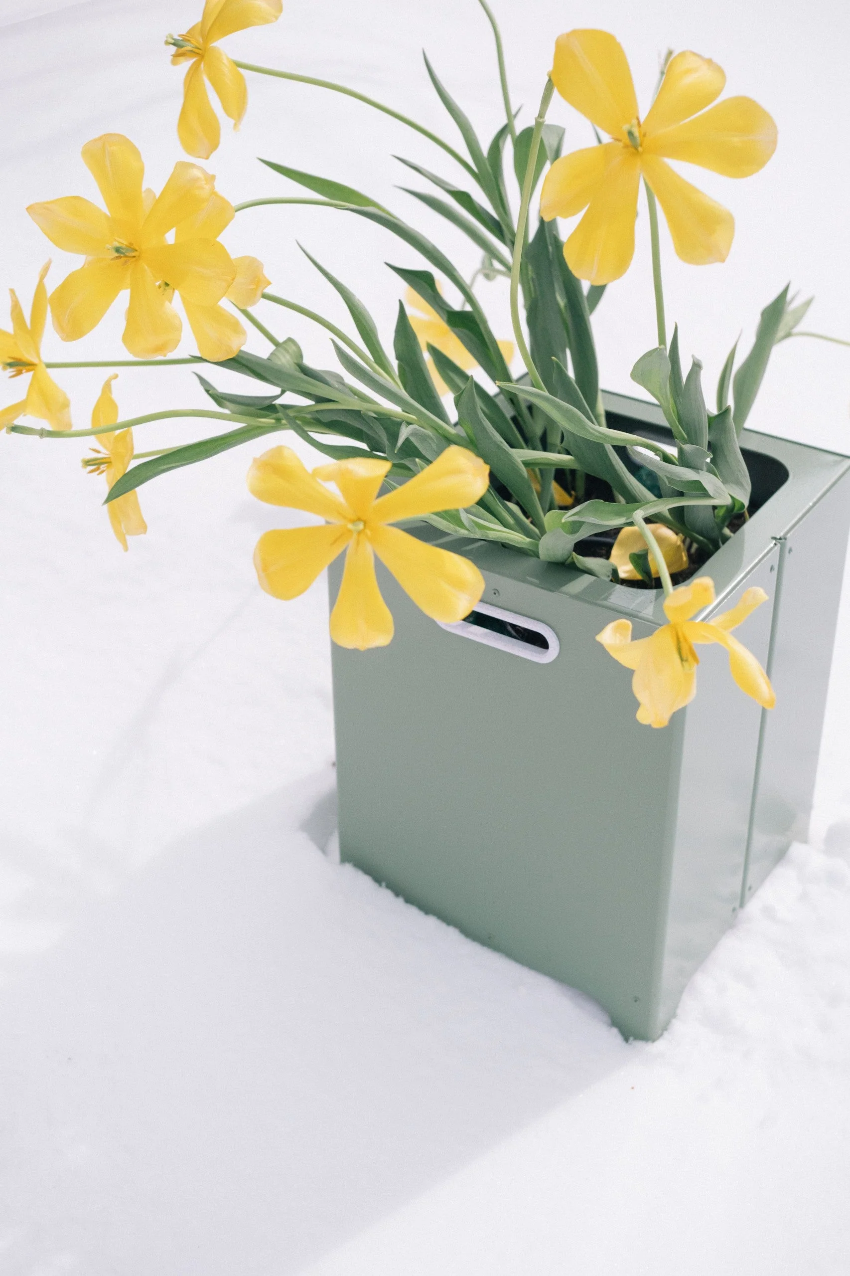 Jardinière Le Baquet olive - Image 7