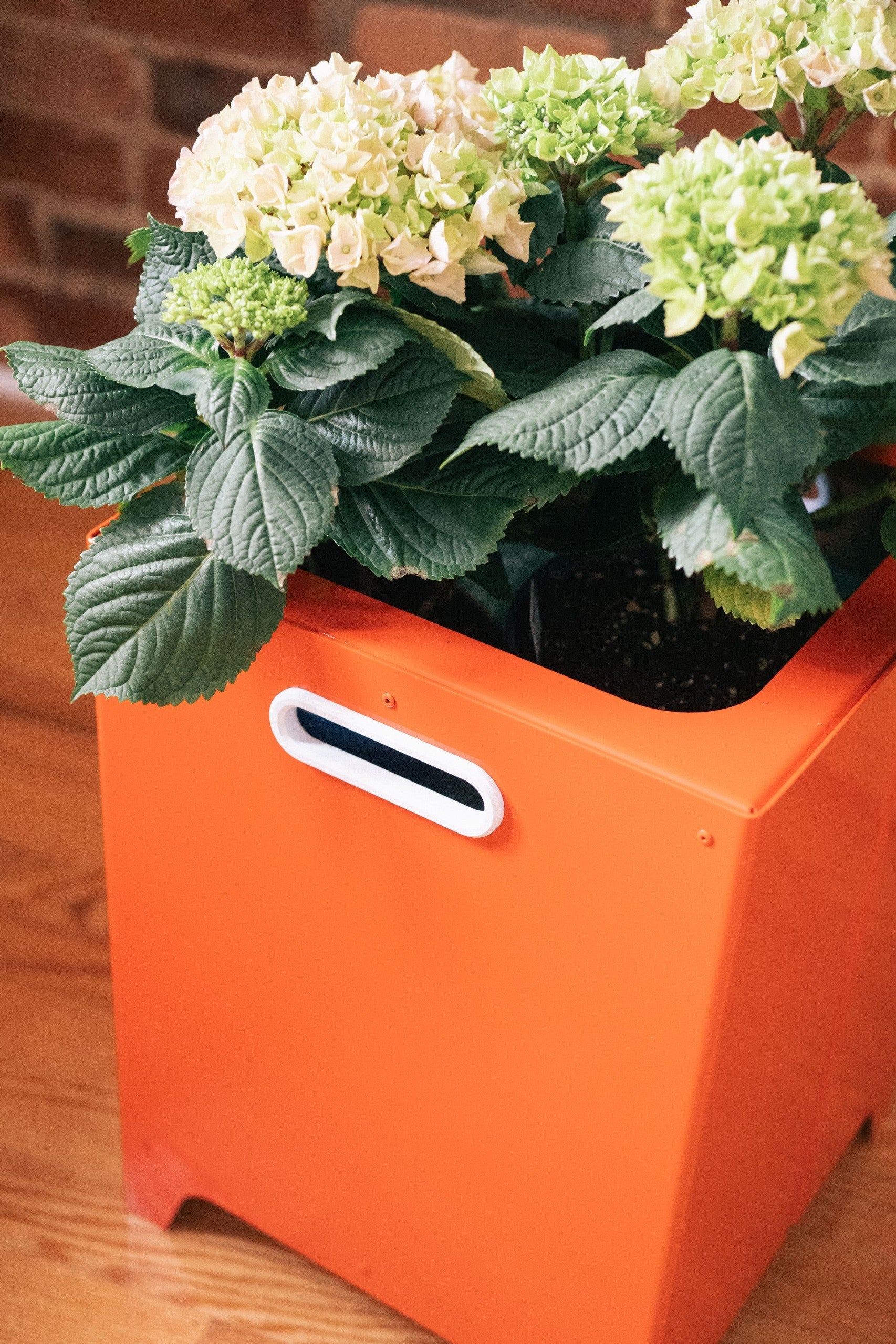 Jardinière Le Baquet tomate - Image 2