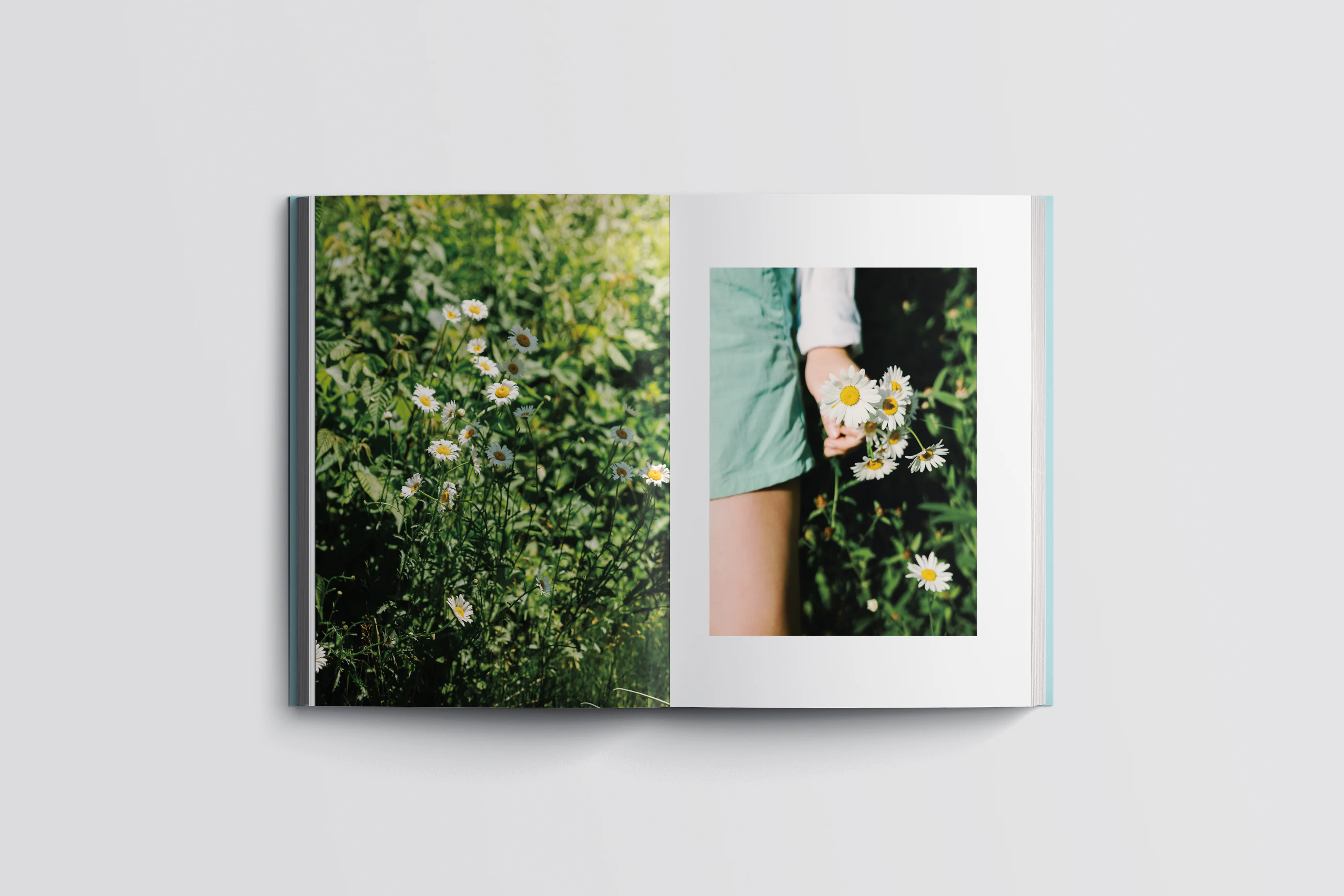 Livre de recettes végétariennes 'Abondance – Ode à nos jardins' - Image 7