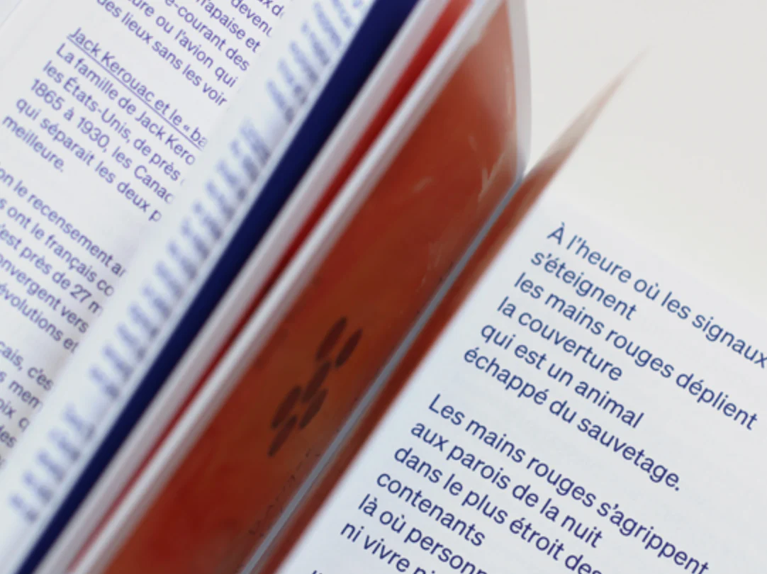 Livre 'Errances' - Image 4