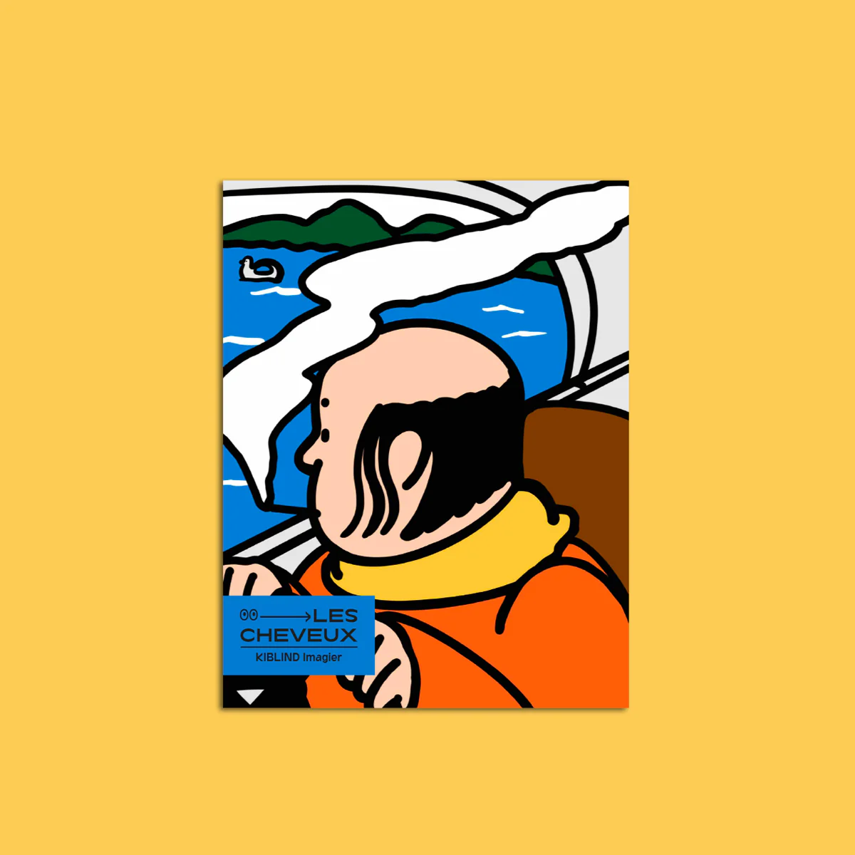 Livre Imagier 'Les cheveux'
