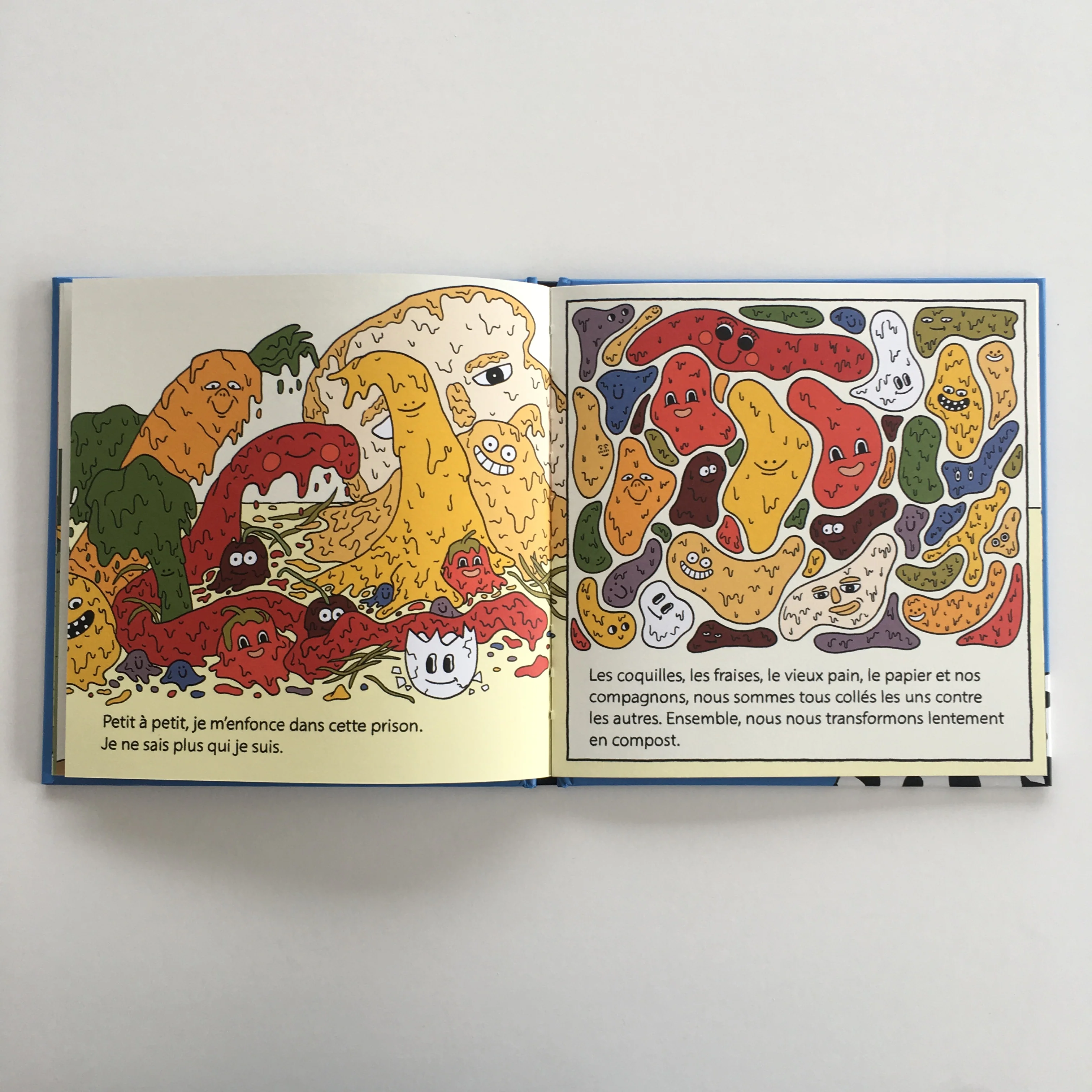 Livre 'Mémoires d'une pelure' - Image 2