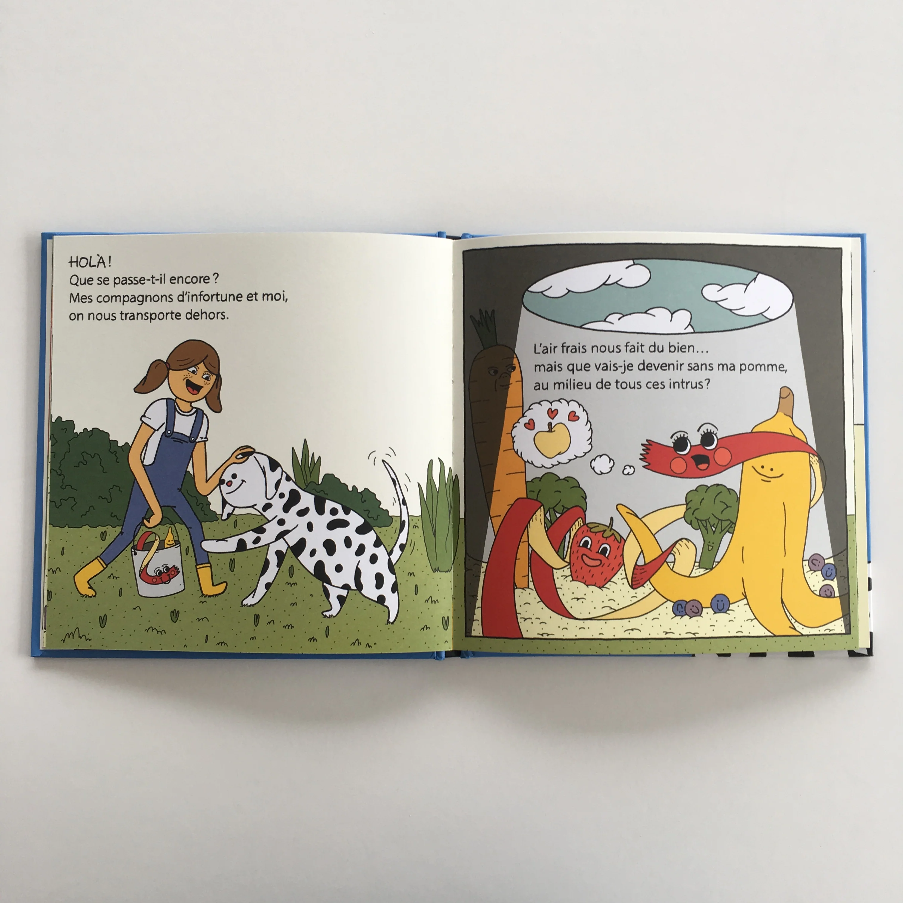 Livre 'Mémoires d'une pelure' - Image 3
