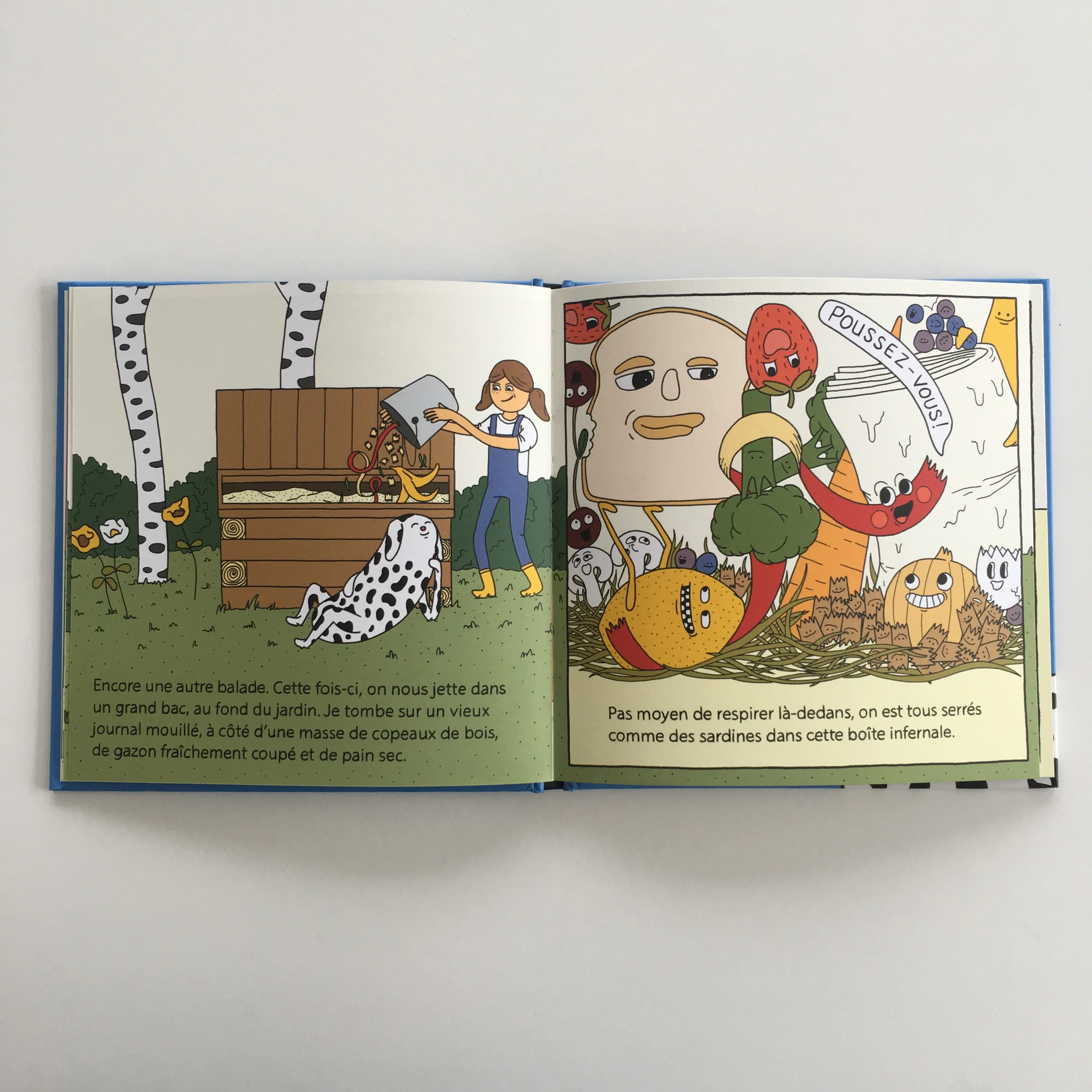 Livre 'Mémoires d'une pelure' - Image 4