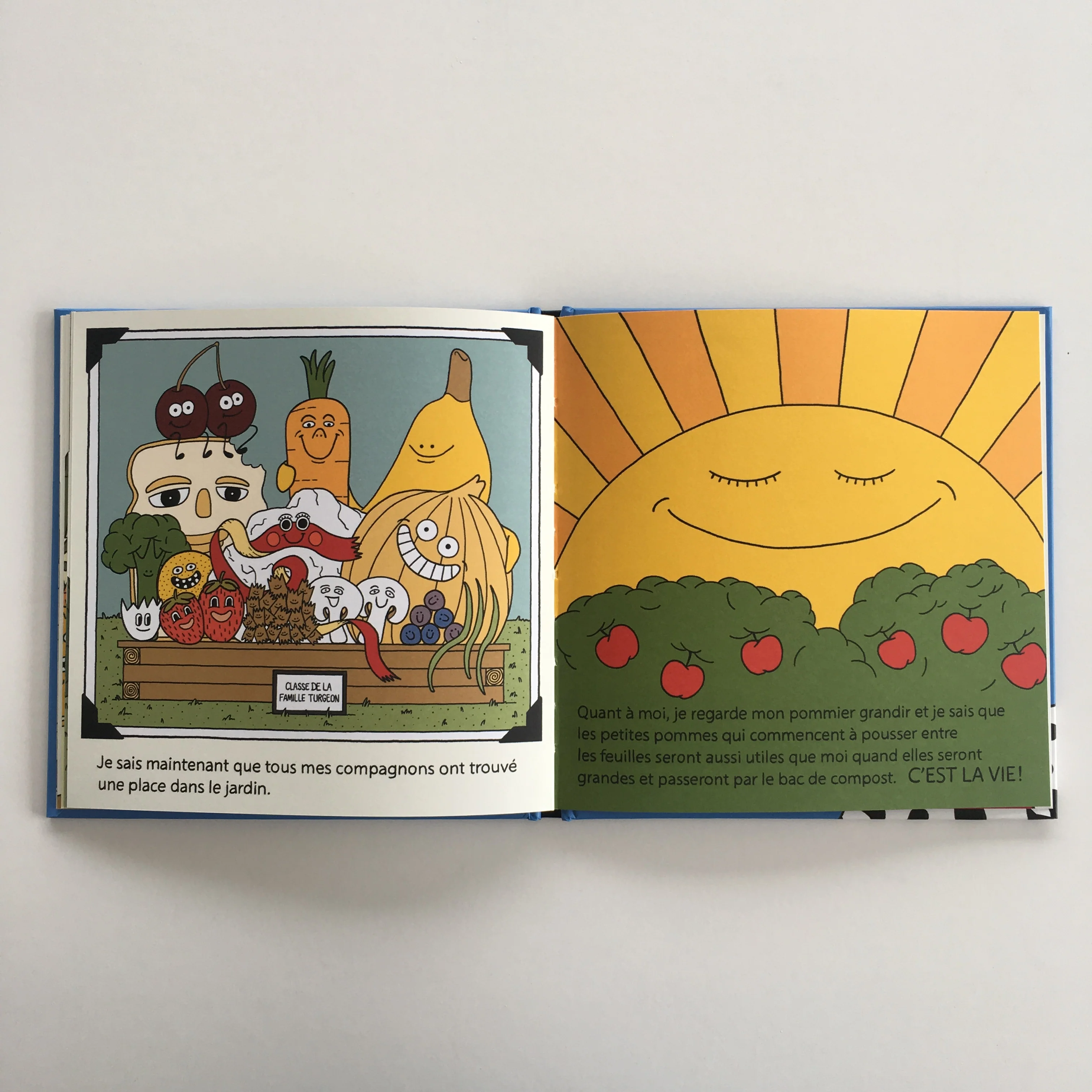 Livre 'Mémoires d'une pelure' - Image 5