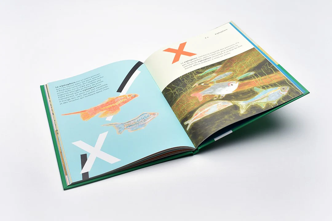 Livre 'Tout le monde dort' - Image 4