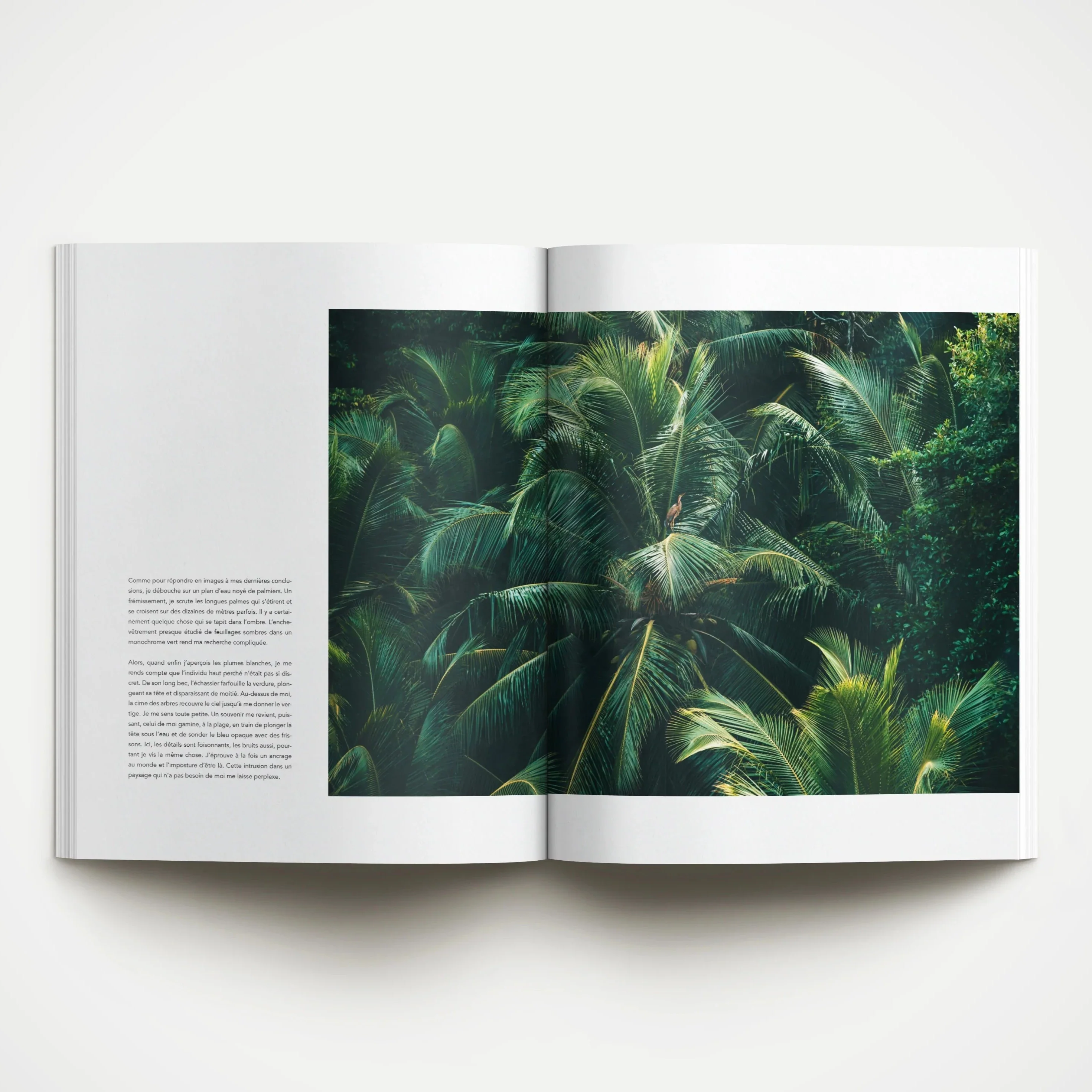 Magazine Dinette '023 - Vert' - Image 2