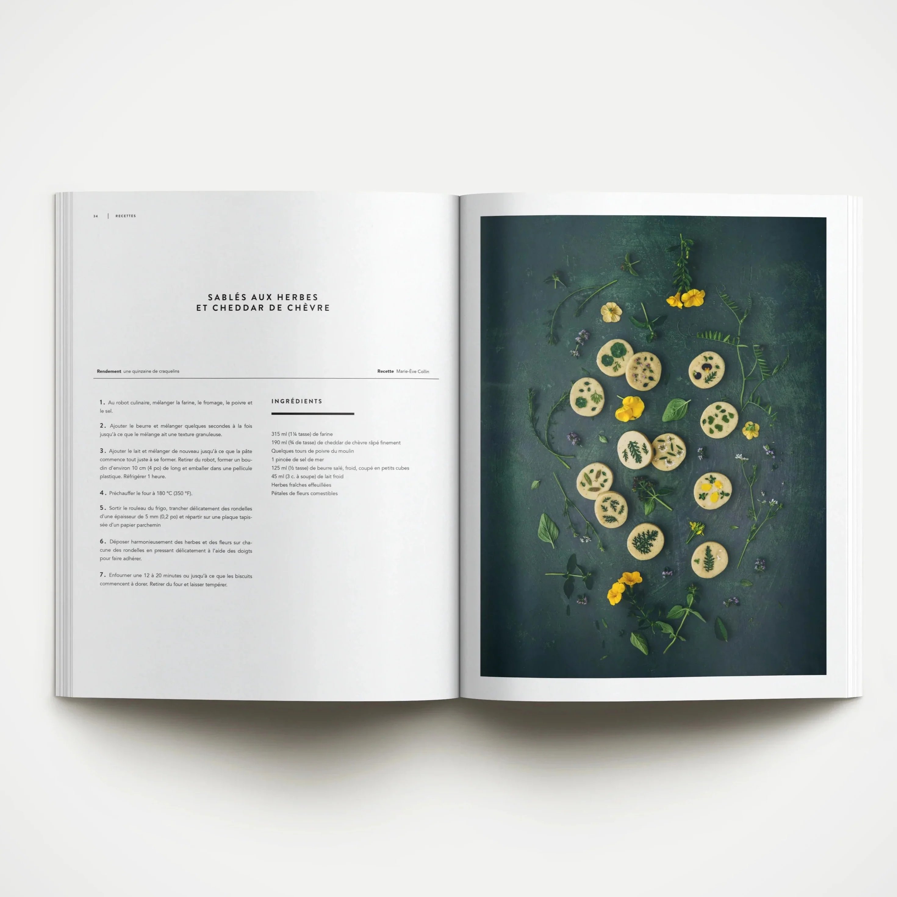 Magazine Dinette '023 - Vert' - Image 4