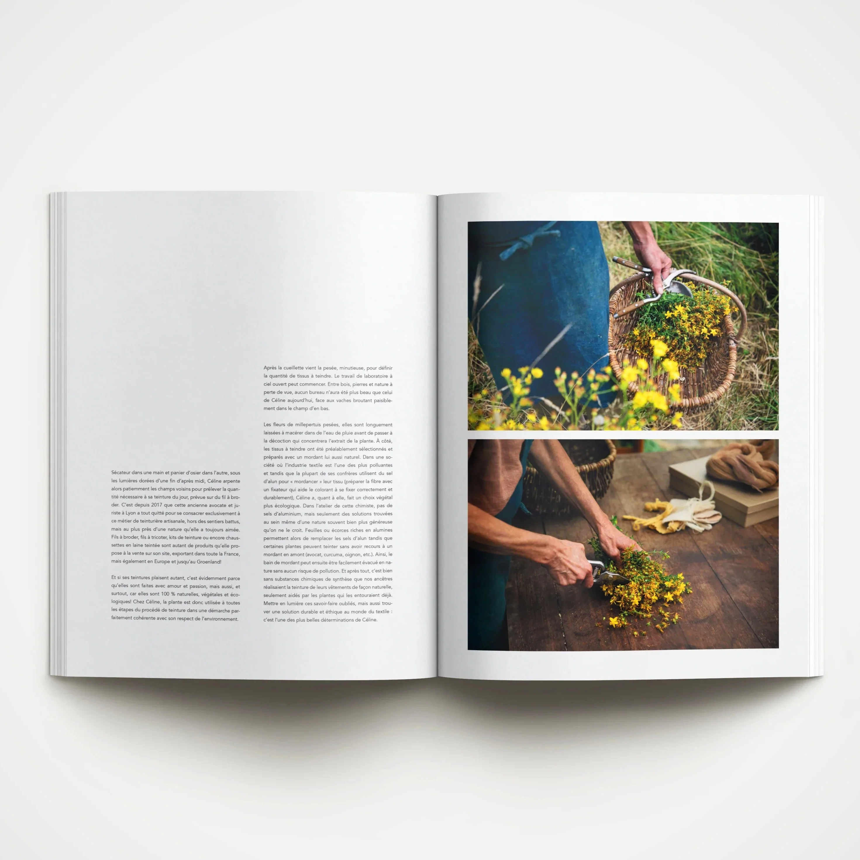 Magazine Dinette '023 - Vert' - Image 5