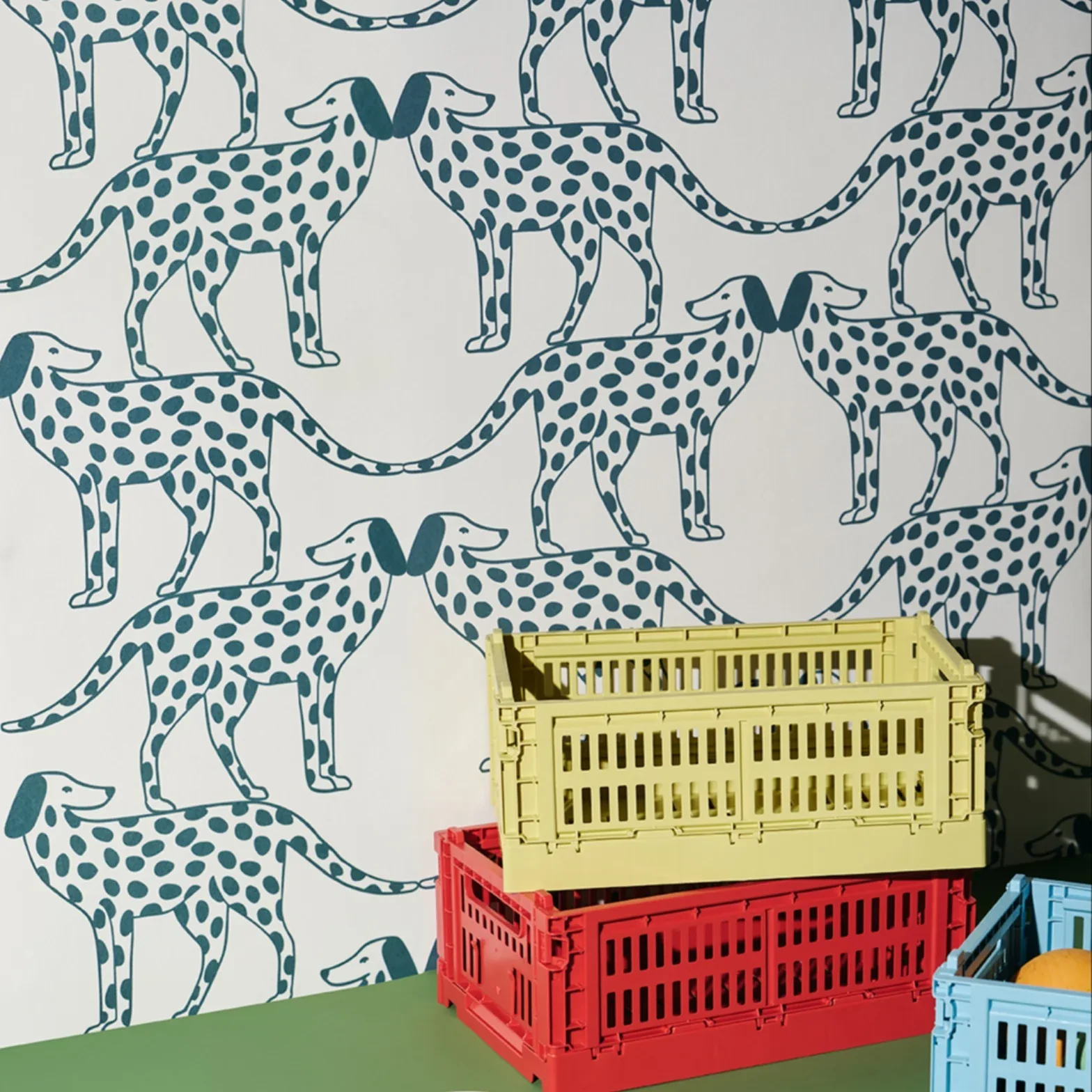 Papier peint Dalmatiens - Image 2
