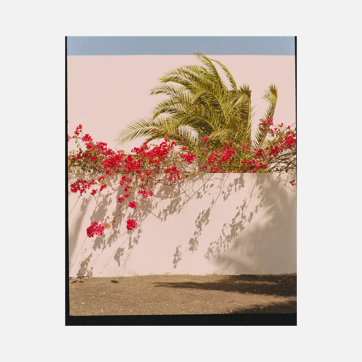 Photographie 'Dans le vent' [formats variés] - Image 2