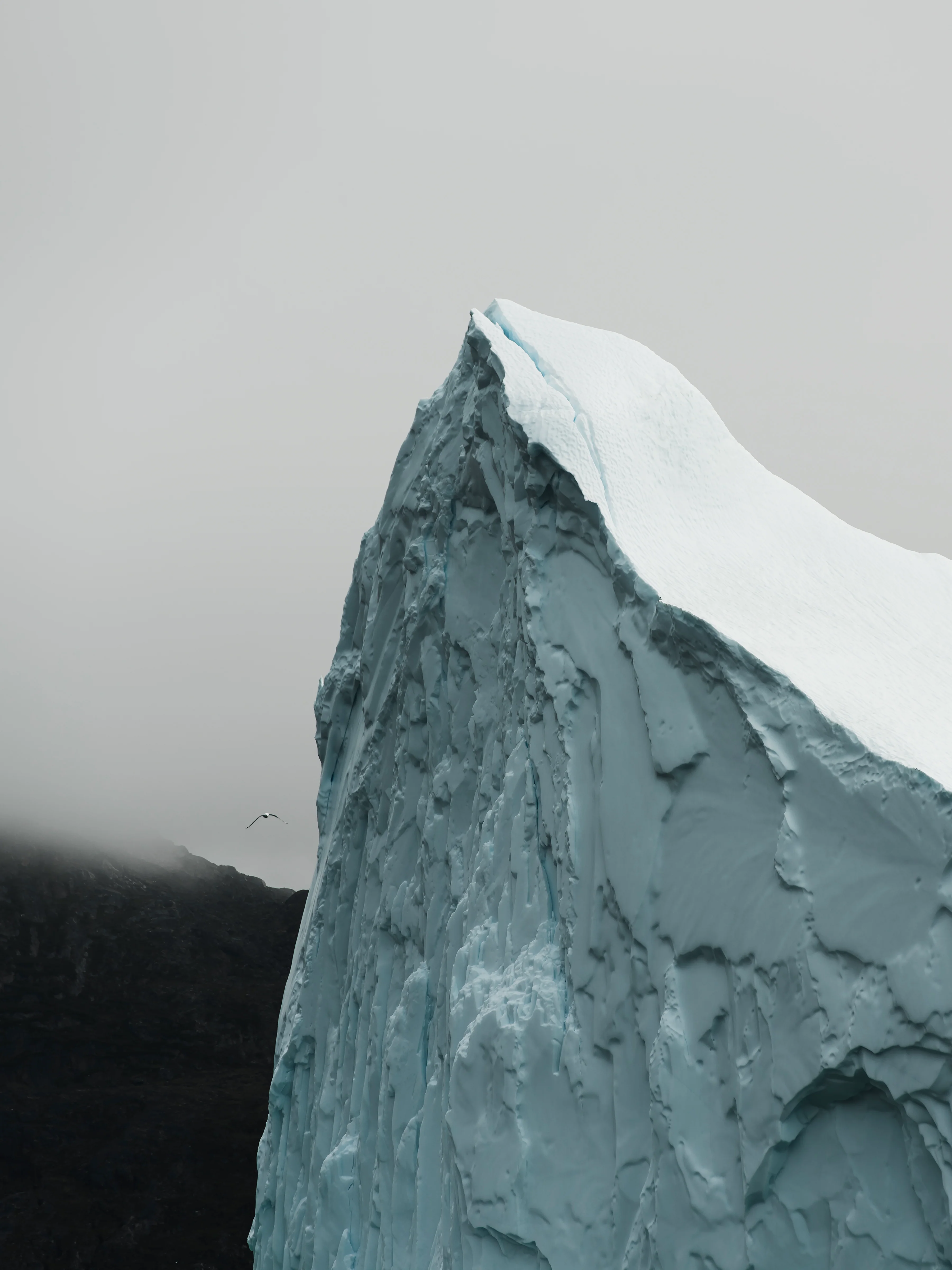 Photographie 'Géants de glace no.2' [formats variés] - Image 2