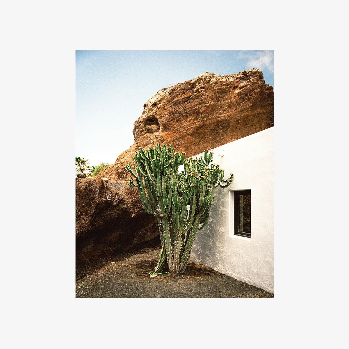Photographie 'Cactus, Roche, Habitat - Lanzarotte' [formats variés] - Image 2